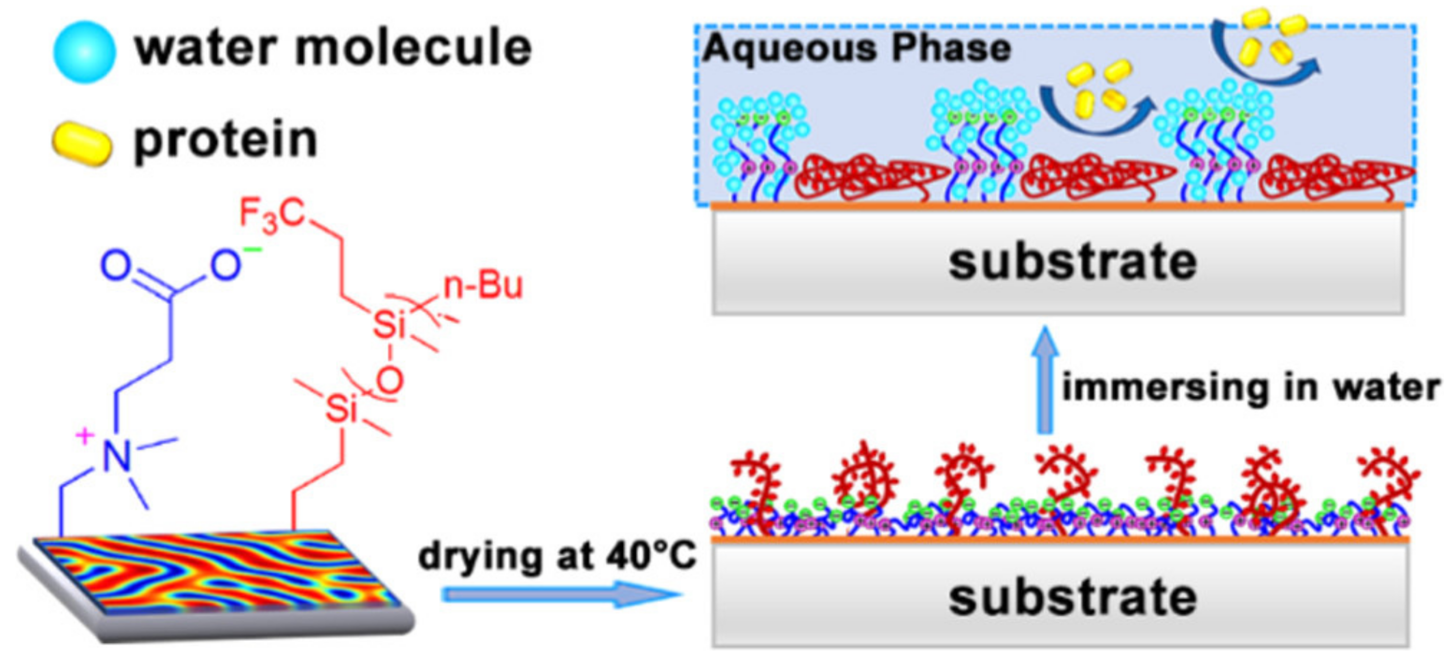 Biomimetics 08 00200 g006 Biomimetics 08 00200 g006