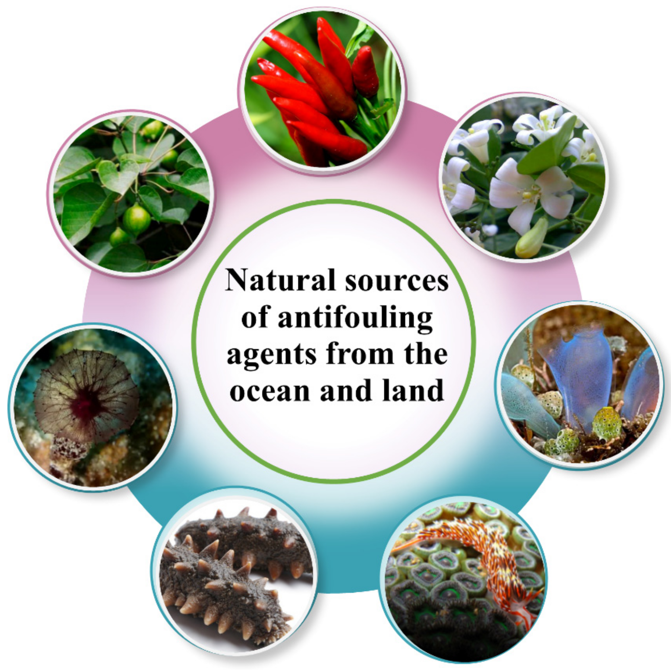 Biomimetics 08 00200 g007 Biomimetics 08 00200 g007