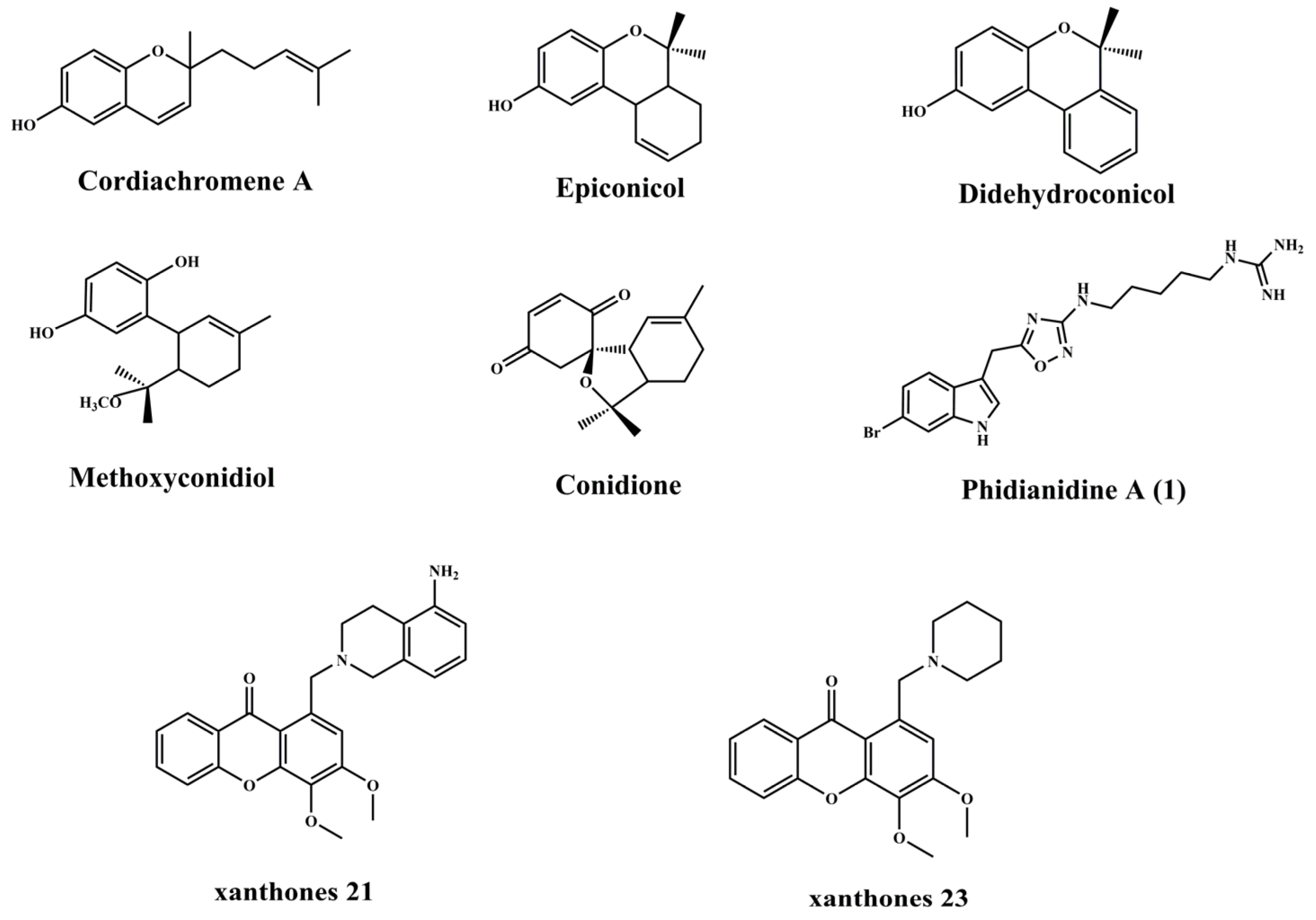Biomimetics 08 00200 g008 Biomimetics 08 00200 g008