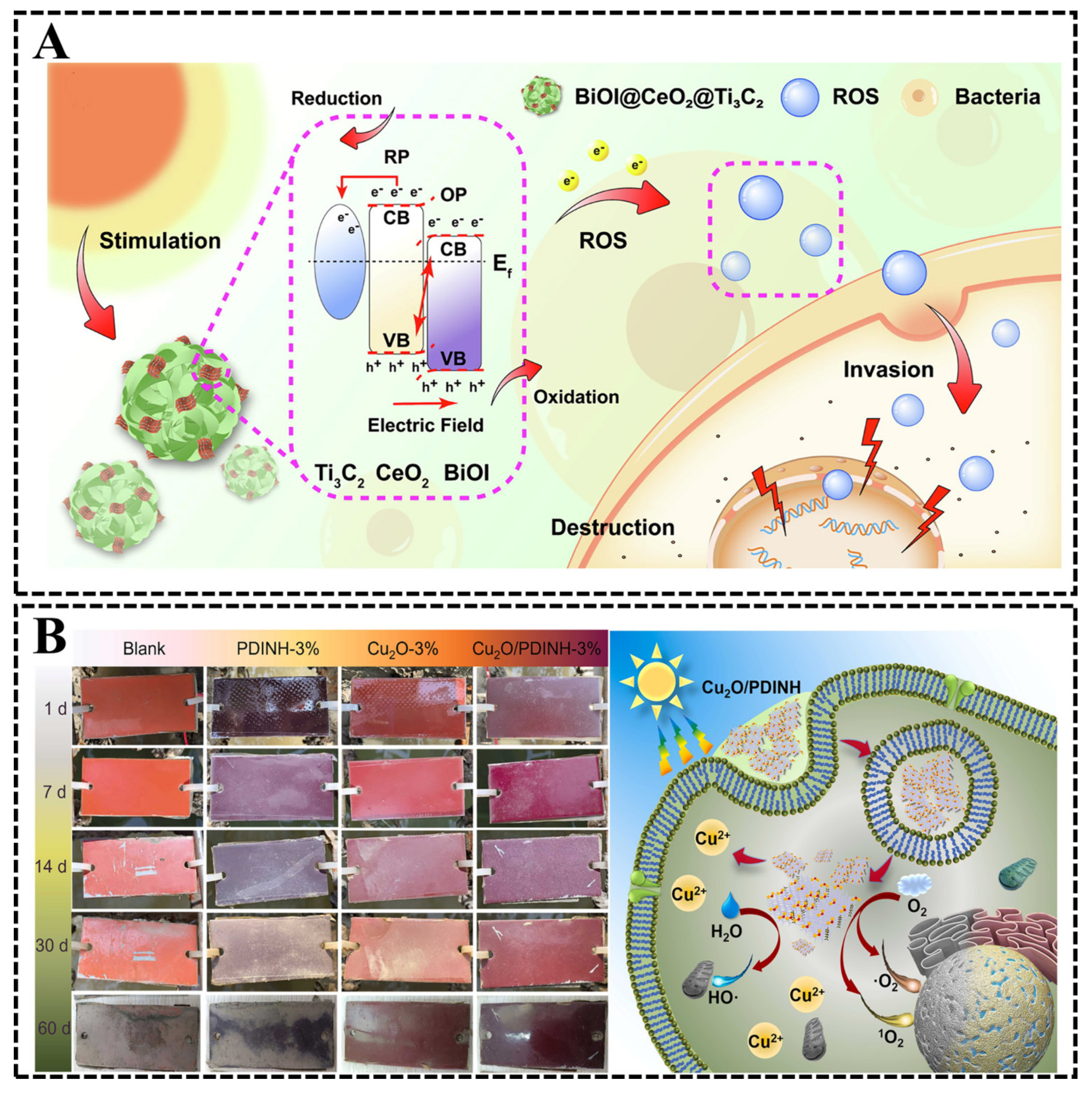 Biomimetics 08 00200 g013 Biomimetics 08 00200 g013