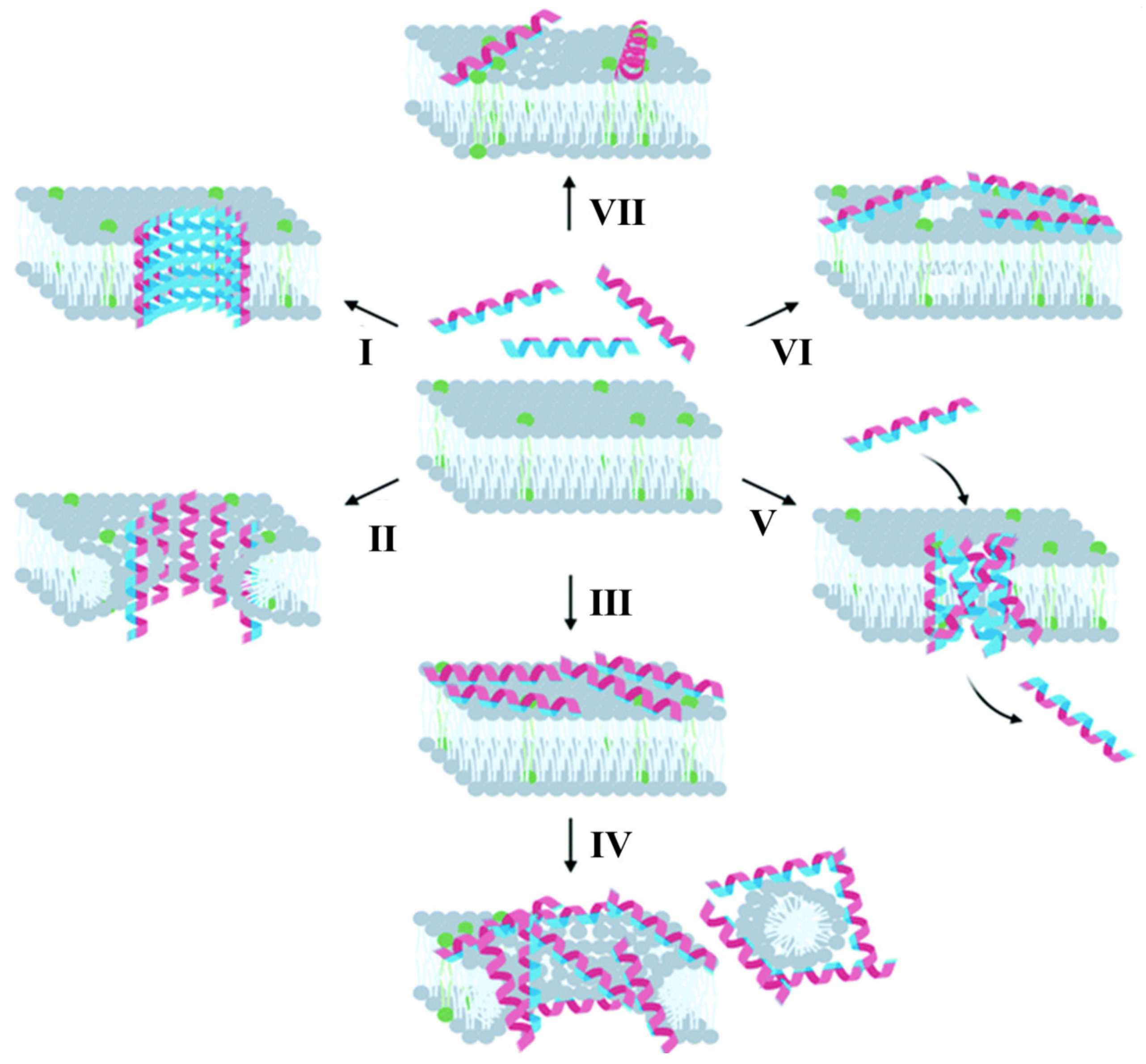 Biomimetics 08 00200 g015 Biomimetics 08 00200 g015