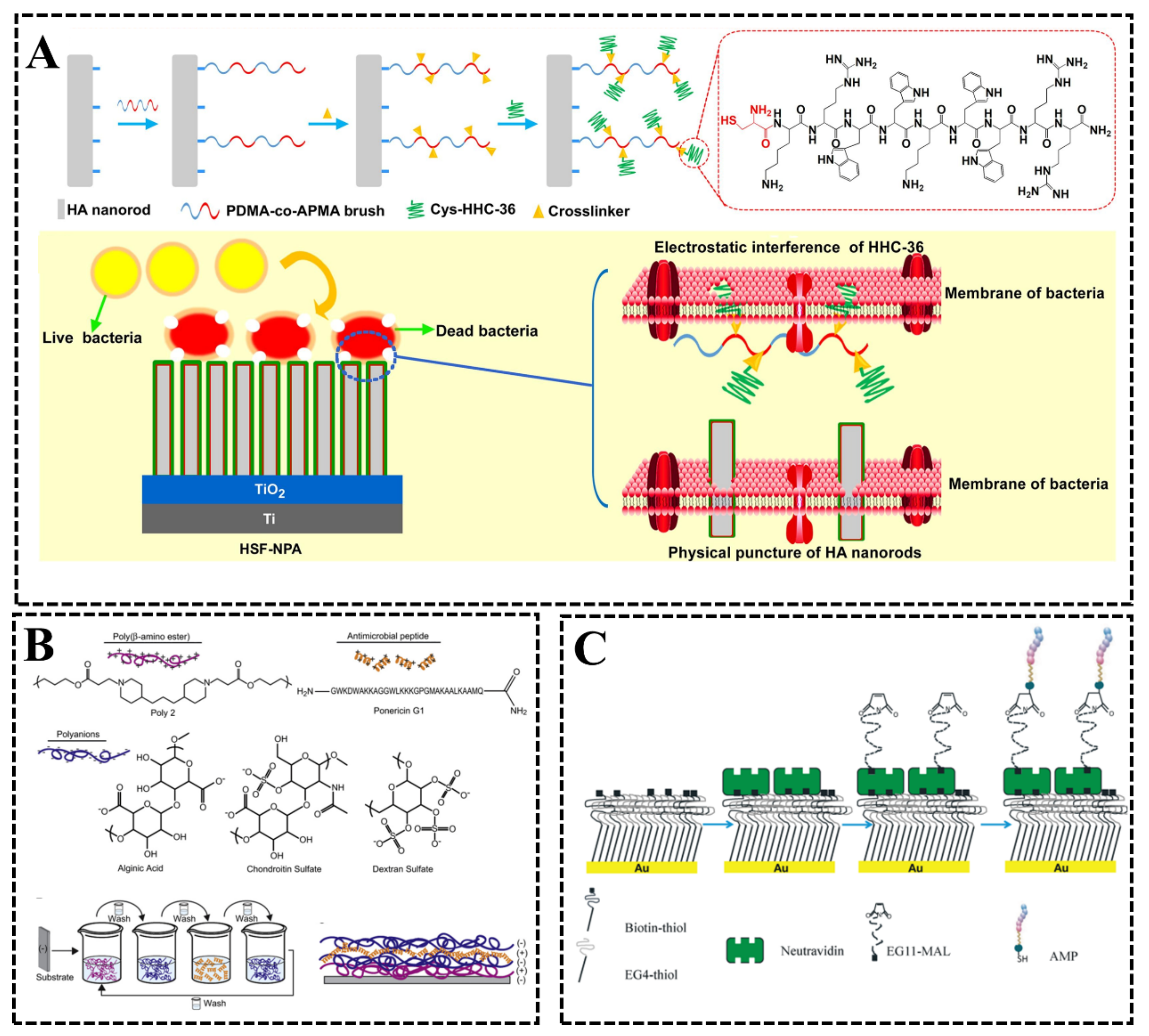 Biomimetics 08 00200 g016 Biomimetics 08 00200 g016