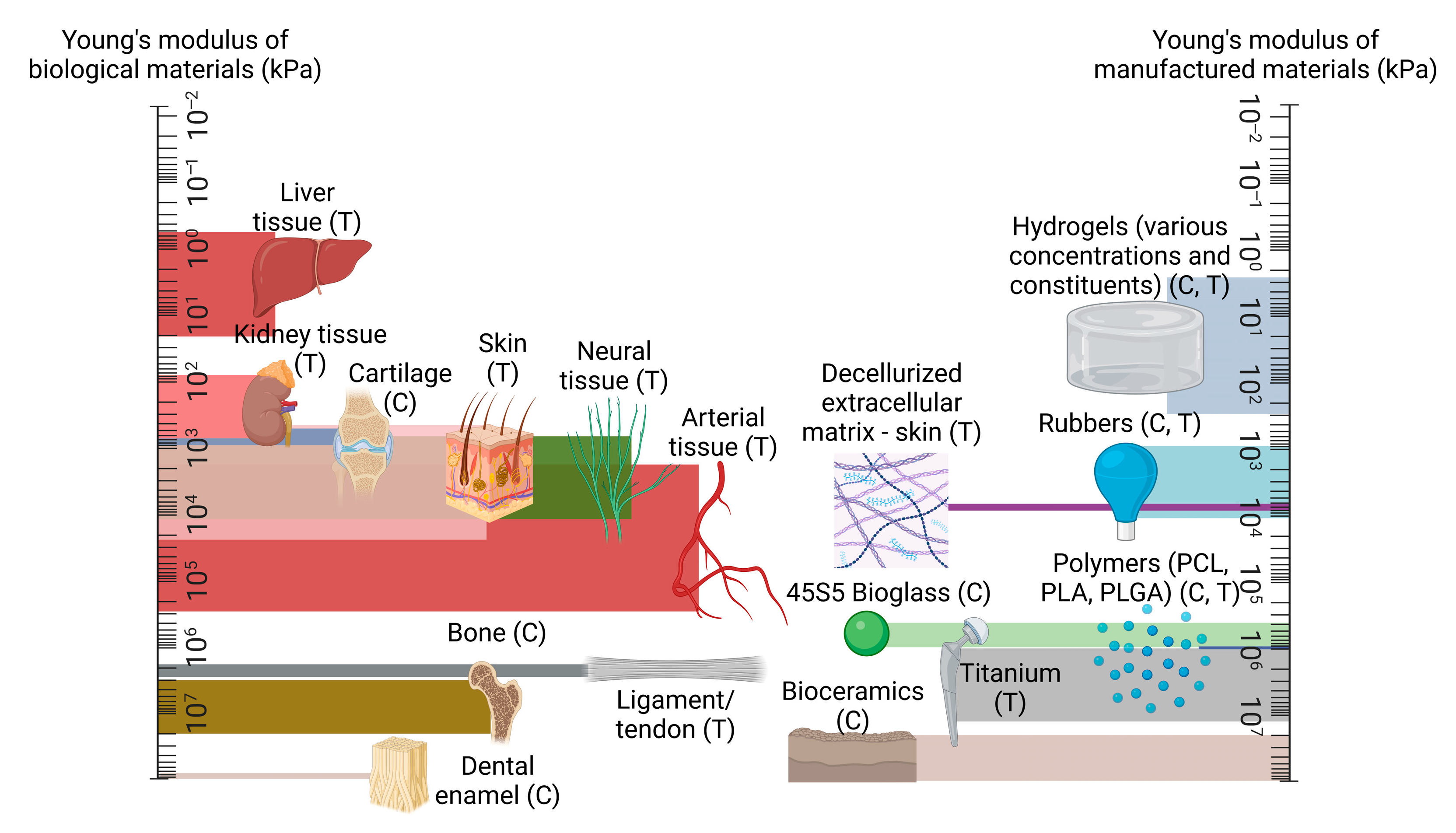 Biomimetics 08 00205 g001