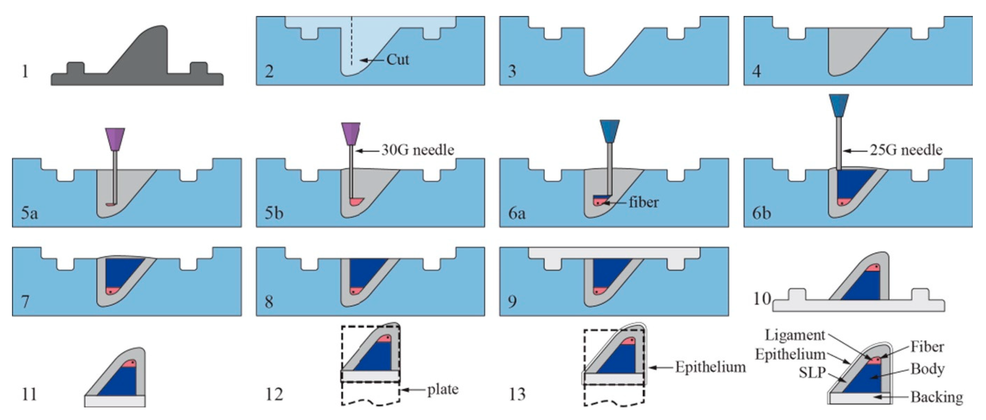 Biomimetics 08 00205 g003