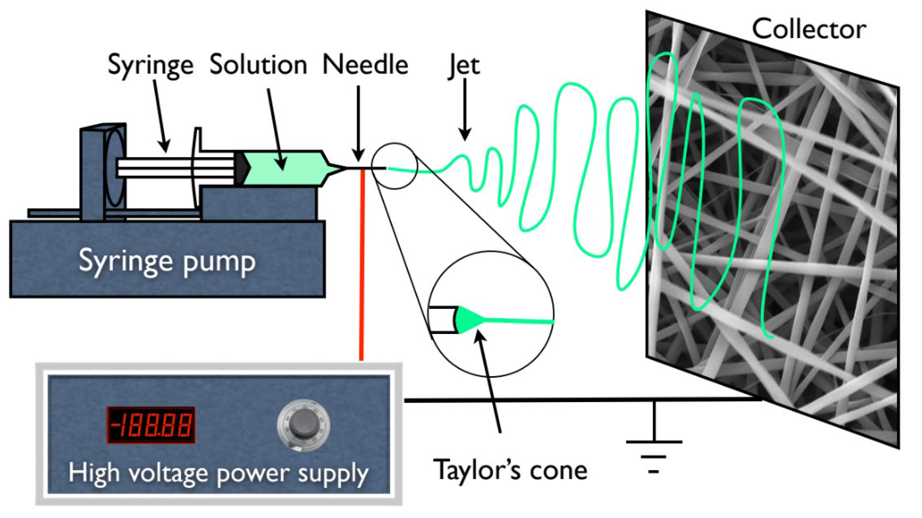 Biomimetics 08 00206 g001 Biomimetics 08 00206 g001