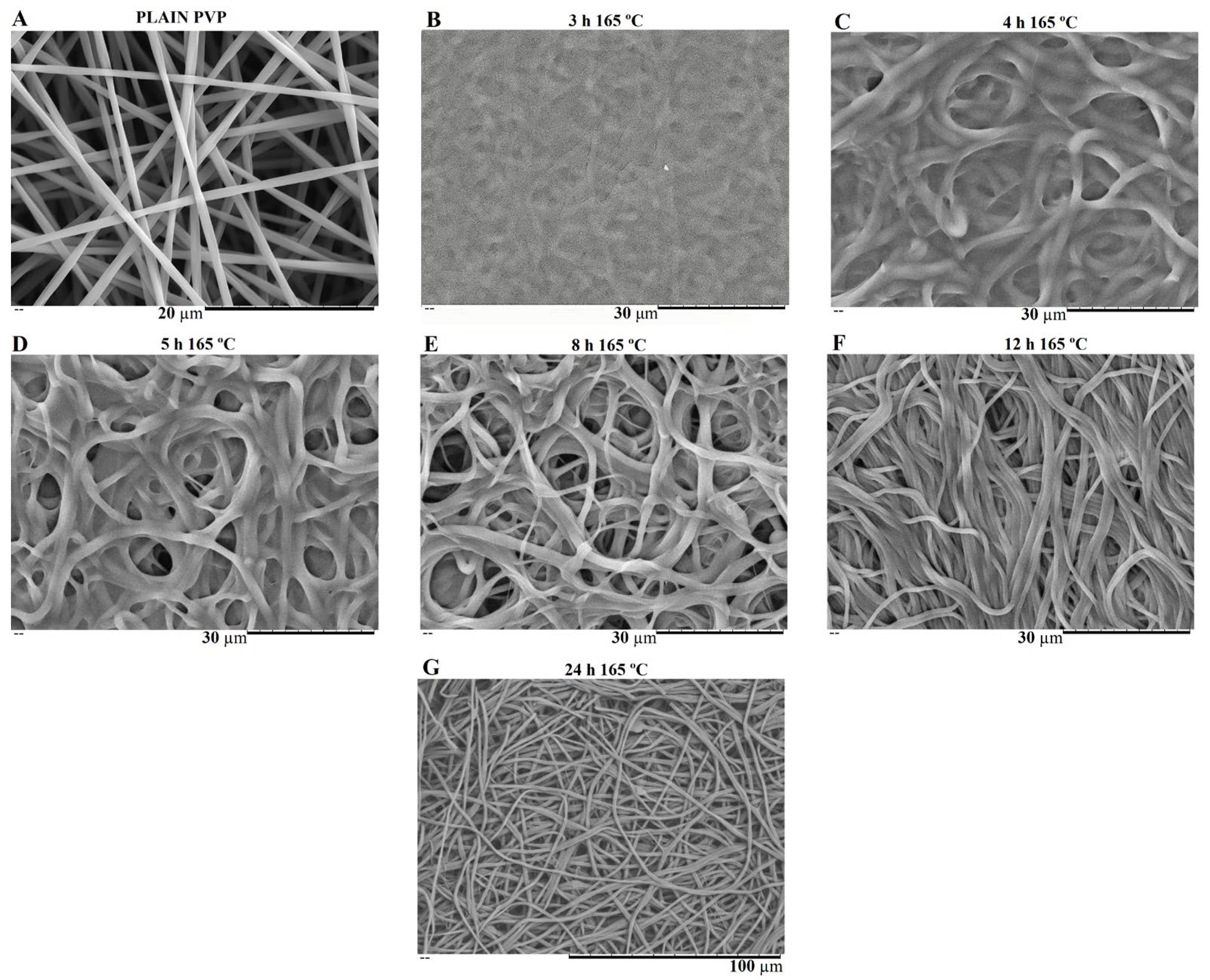 Biomimetics 08 00206 g007 Biomimetics 08 00206 g007
