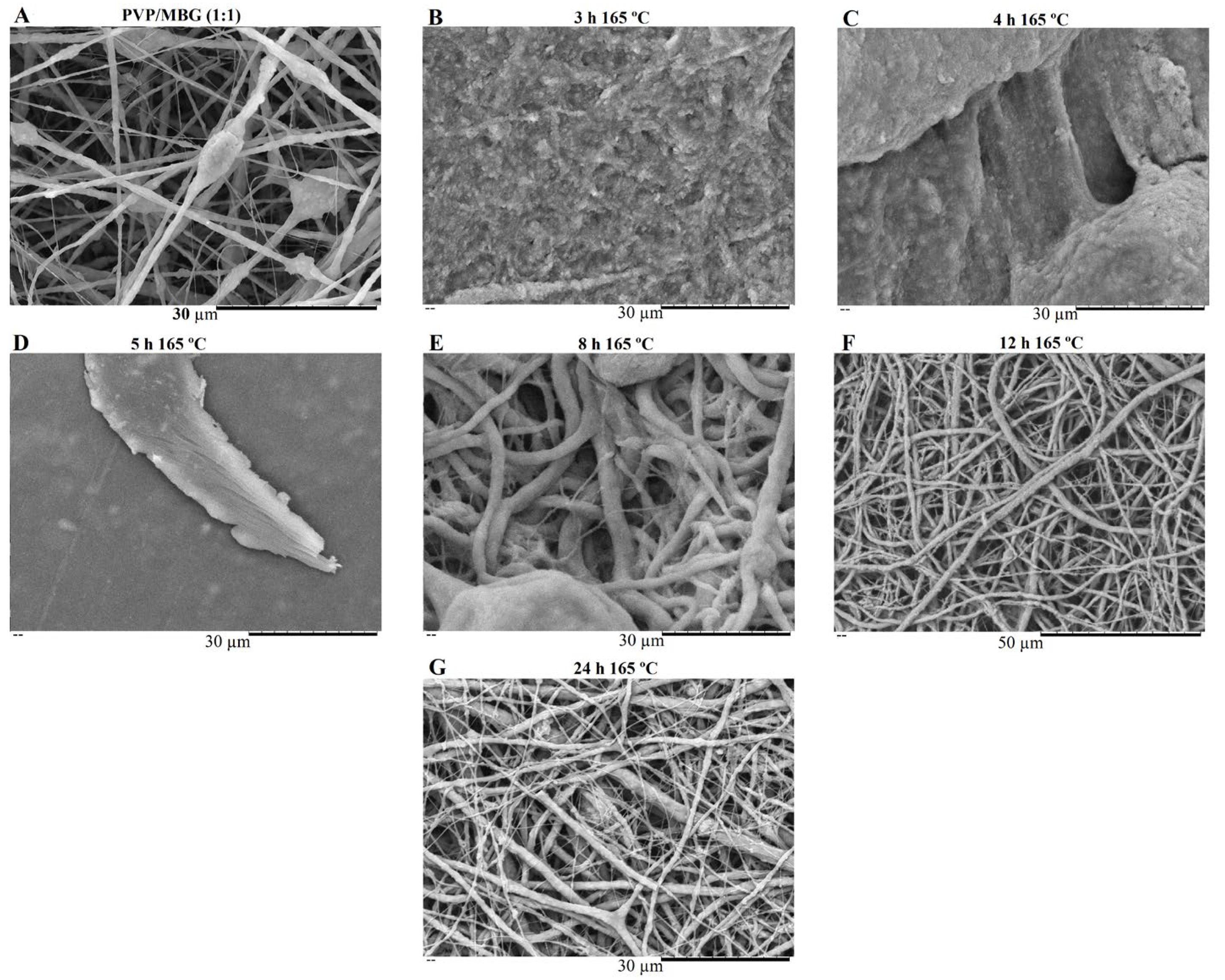Biomimetics 08 00206 g008 Biomimetics 08 00206 g008