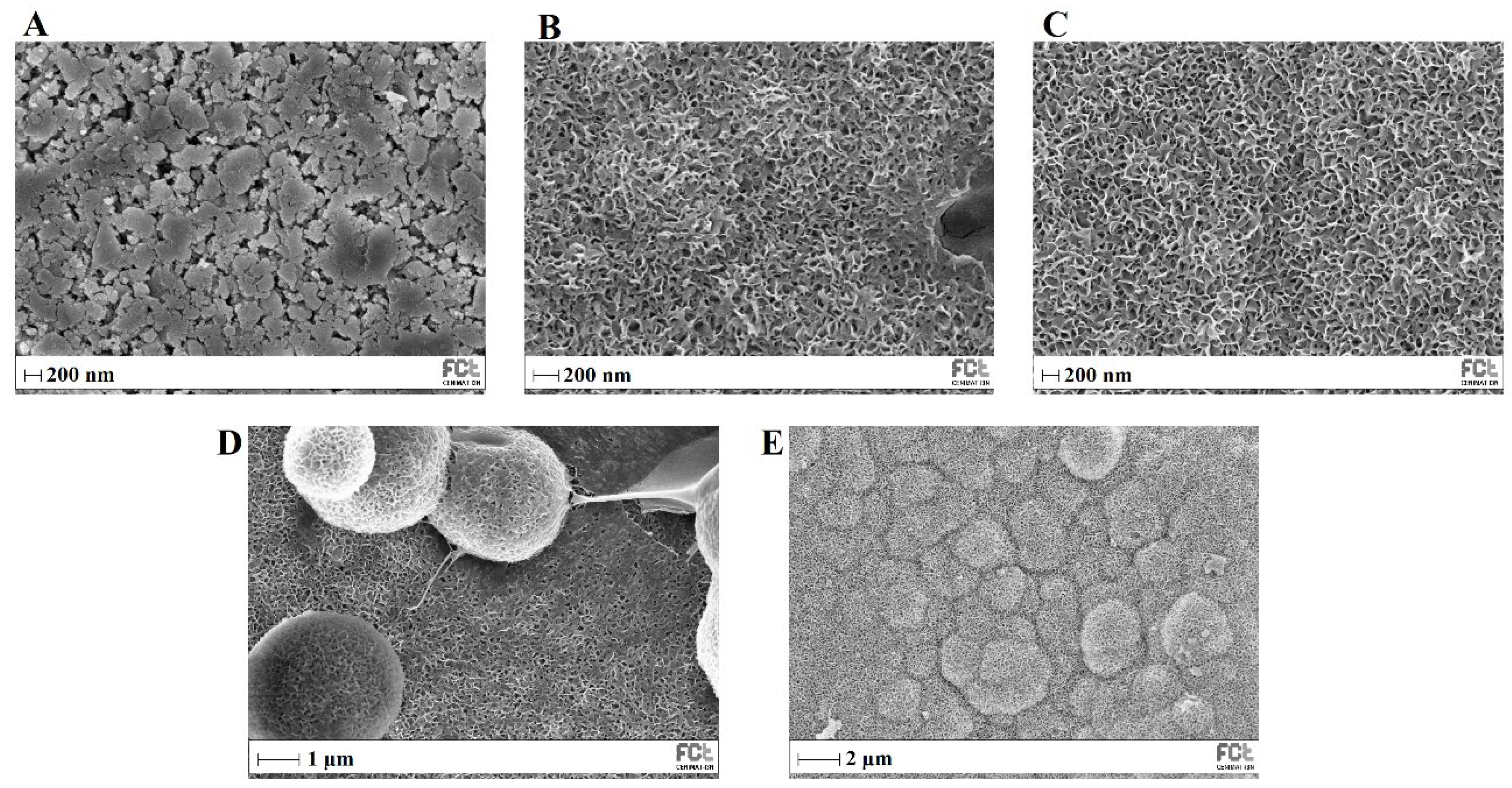Biomimetics 08 00206 g013 Biomimetics 08 00206 g013