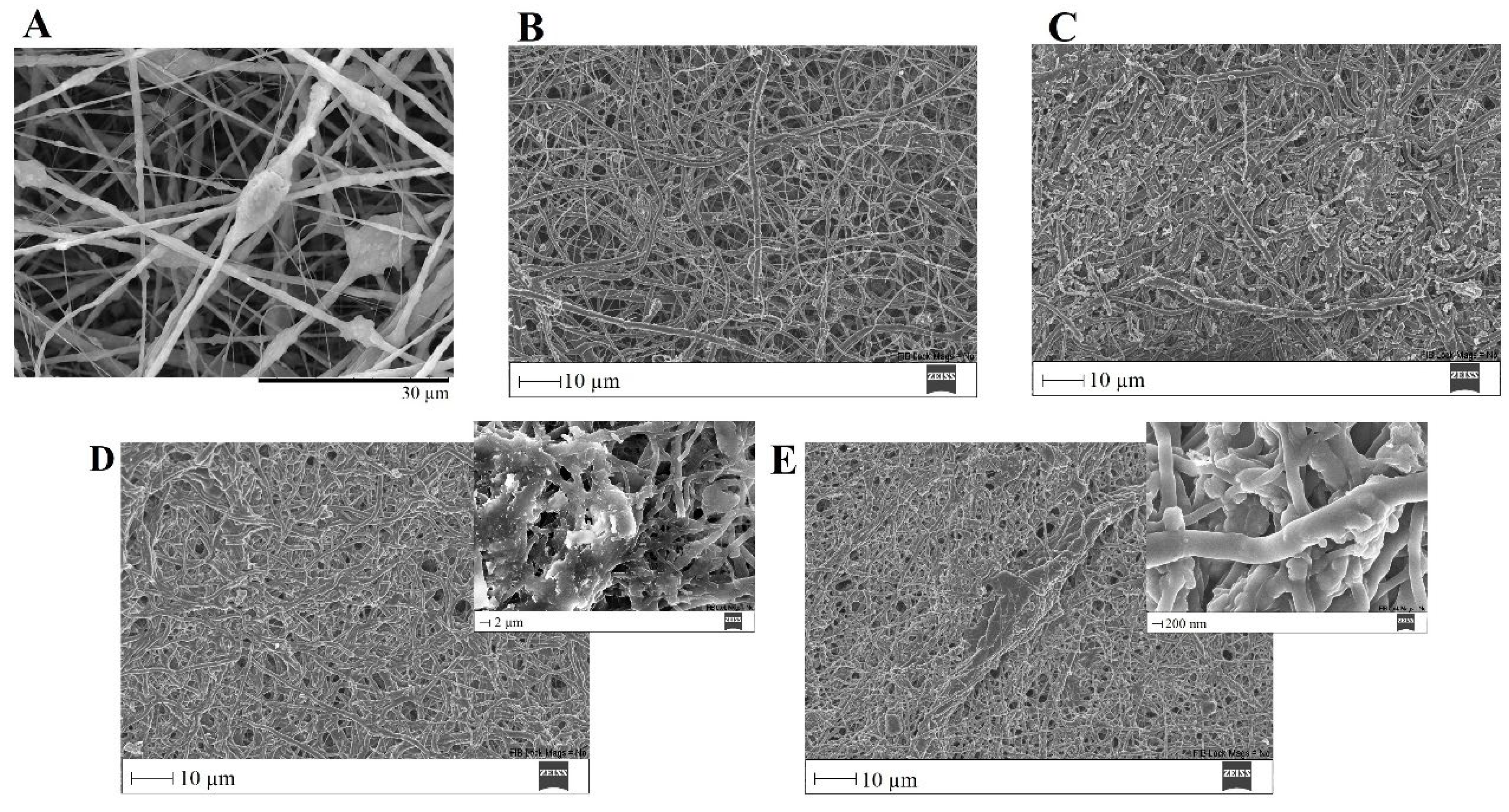 Biomimetics 08 00206 g017 Biomimetics 08 00206 g017