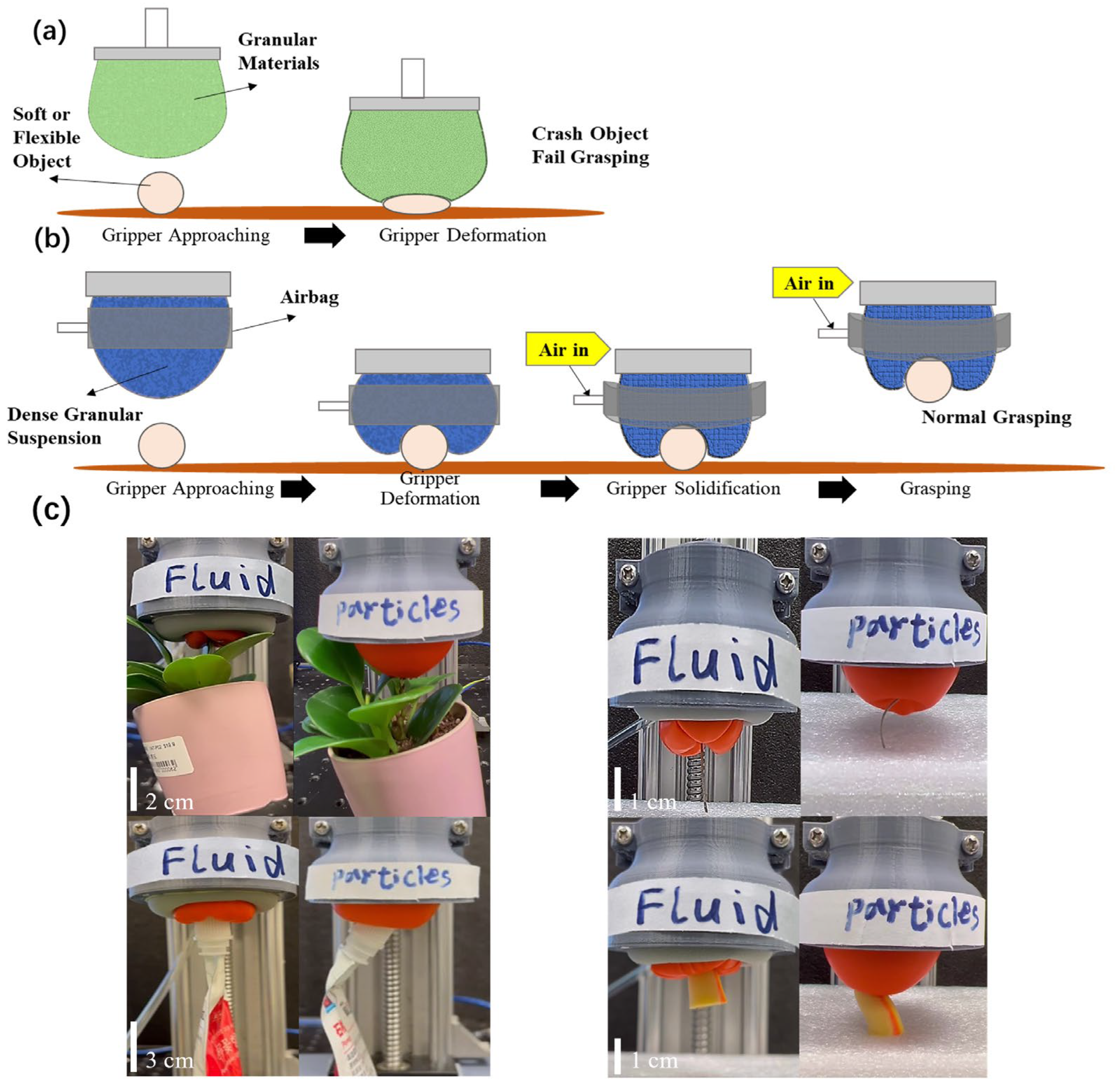 Biomimetics 08 00209 g001