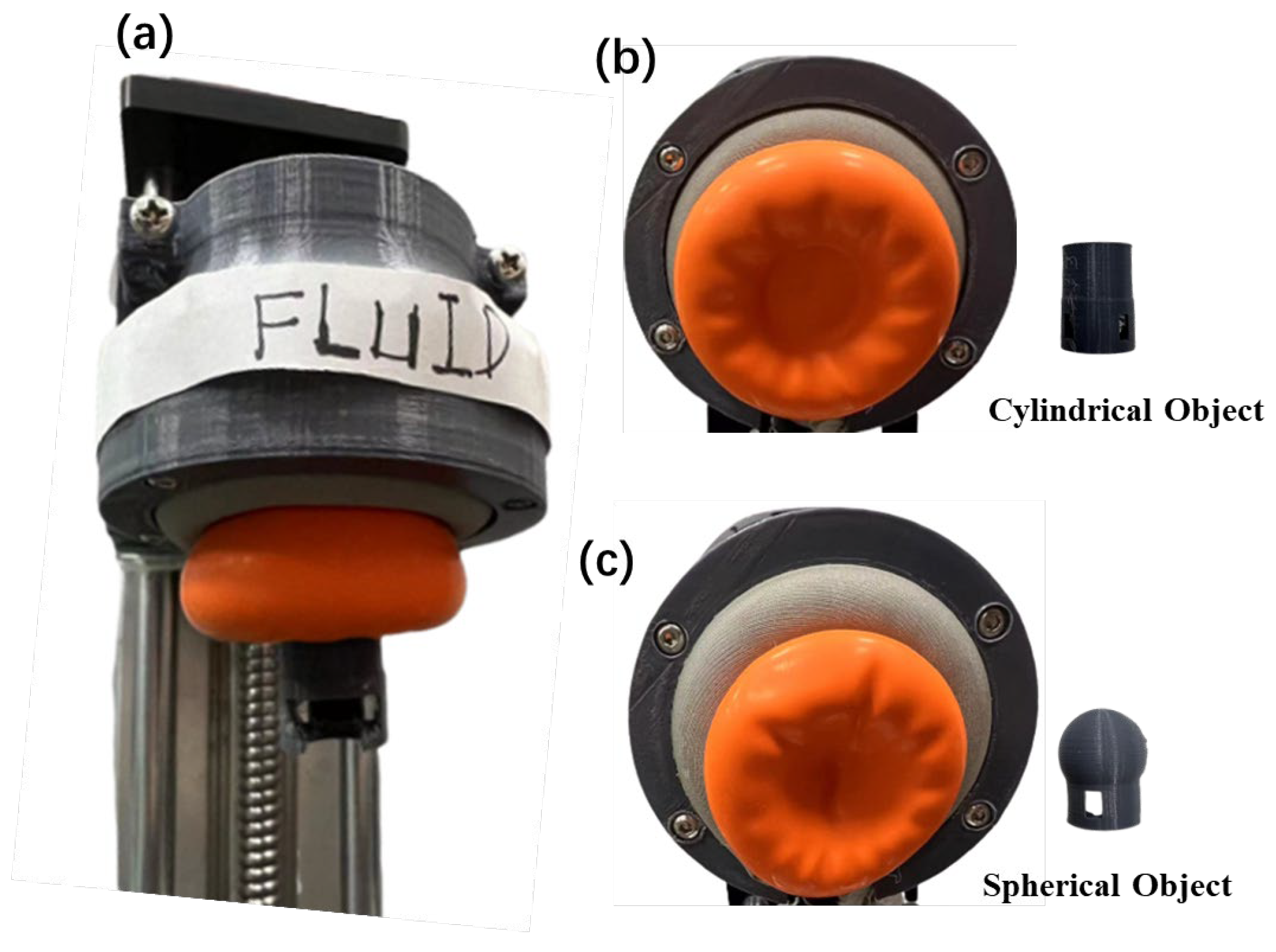 Biomimetics 08 00209 g006