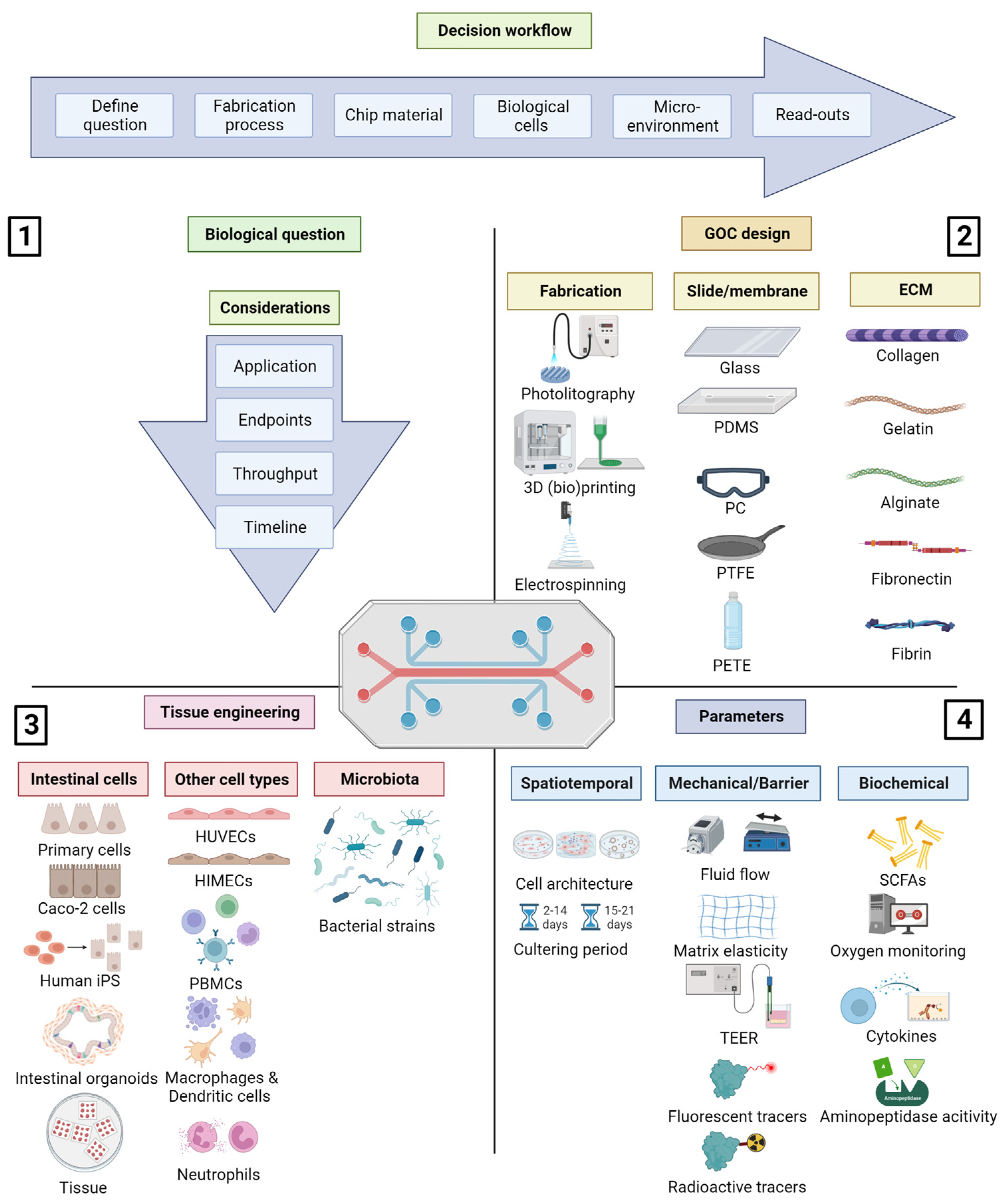 Biomimetics 08 00226 g001 Biomimetics 08 00226 g001