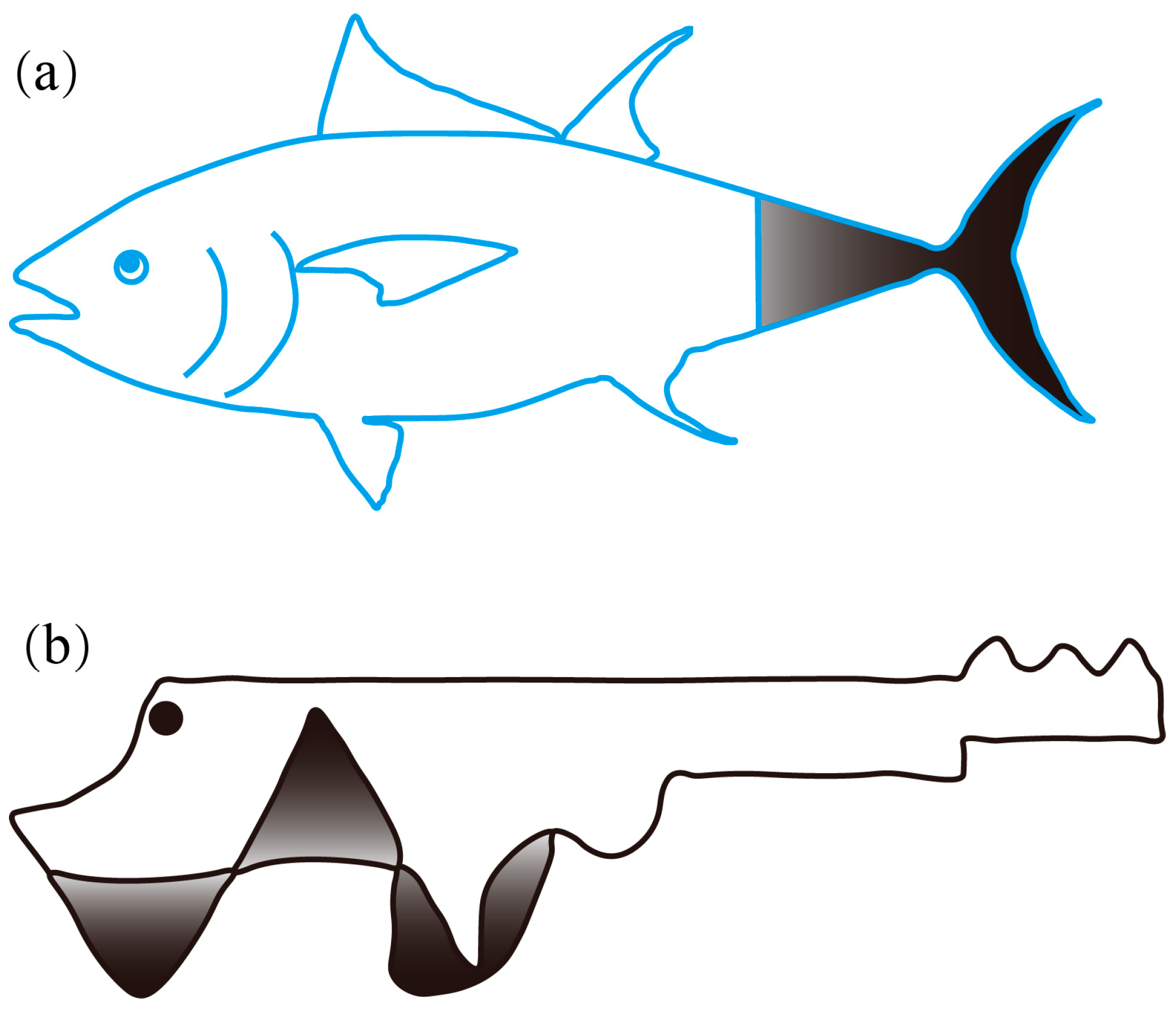 Biomimetics 08 00227 g001 Biomimetics 08 00227 g001