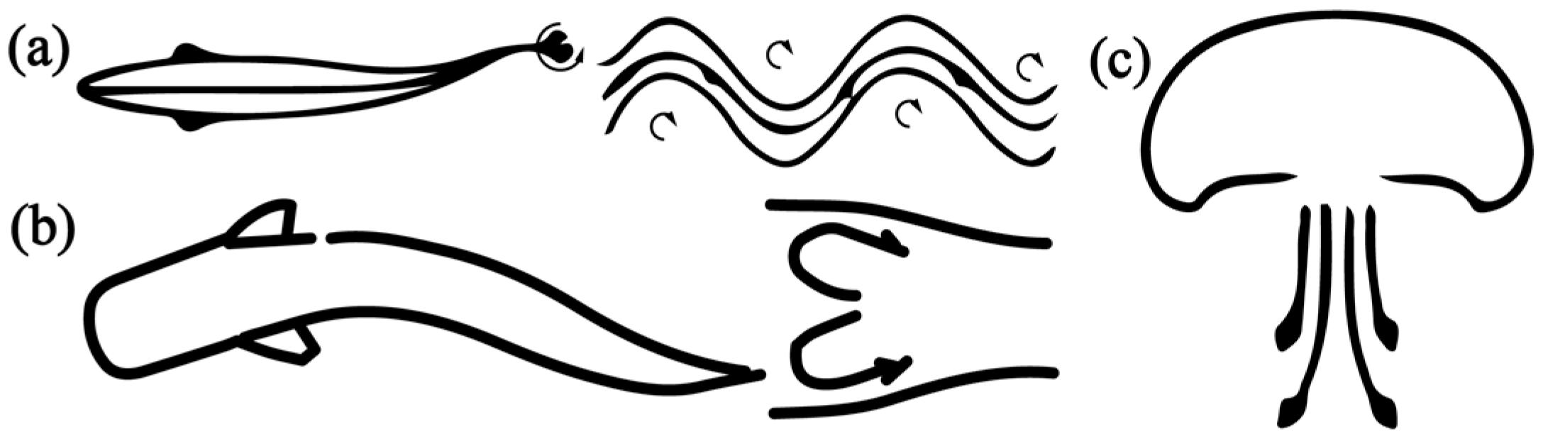 Biomimetics 08 00227 g002 Biomimetics 08 00227 g002