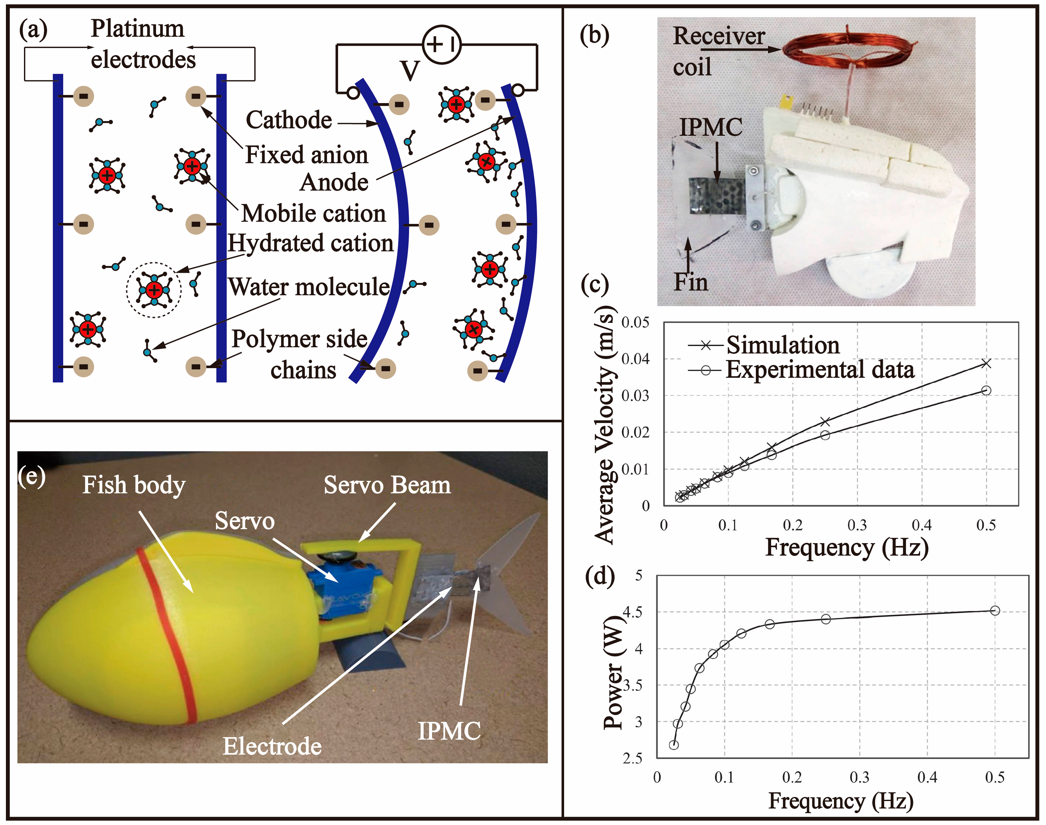 Biomimetics 08 00227 g007 Biomimetics 08 00227 g007