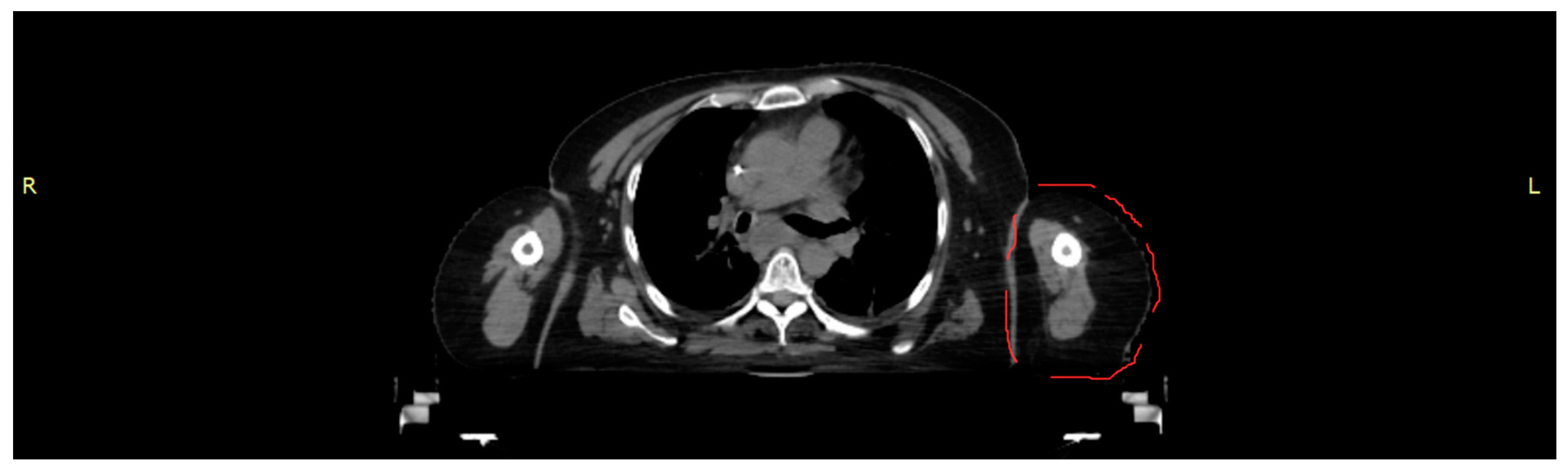 Biomimetics 08 00230 g001