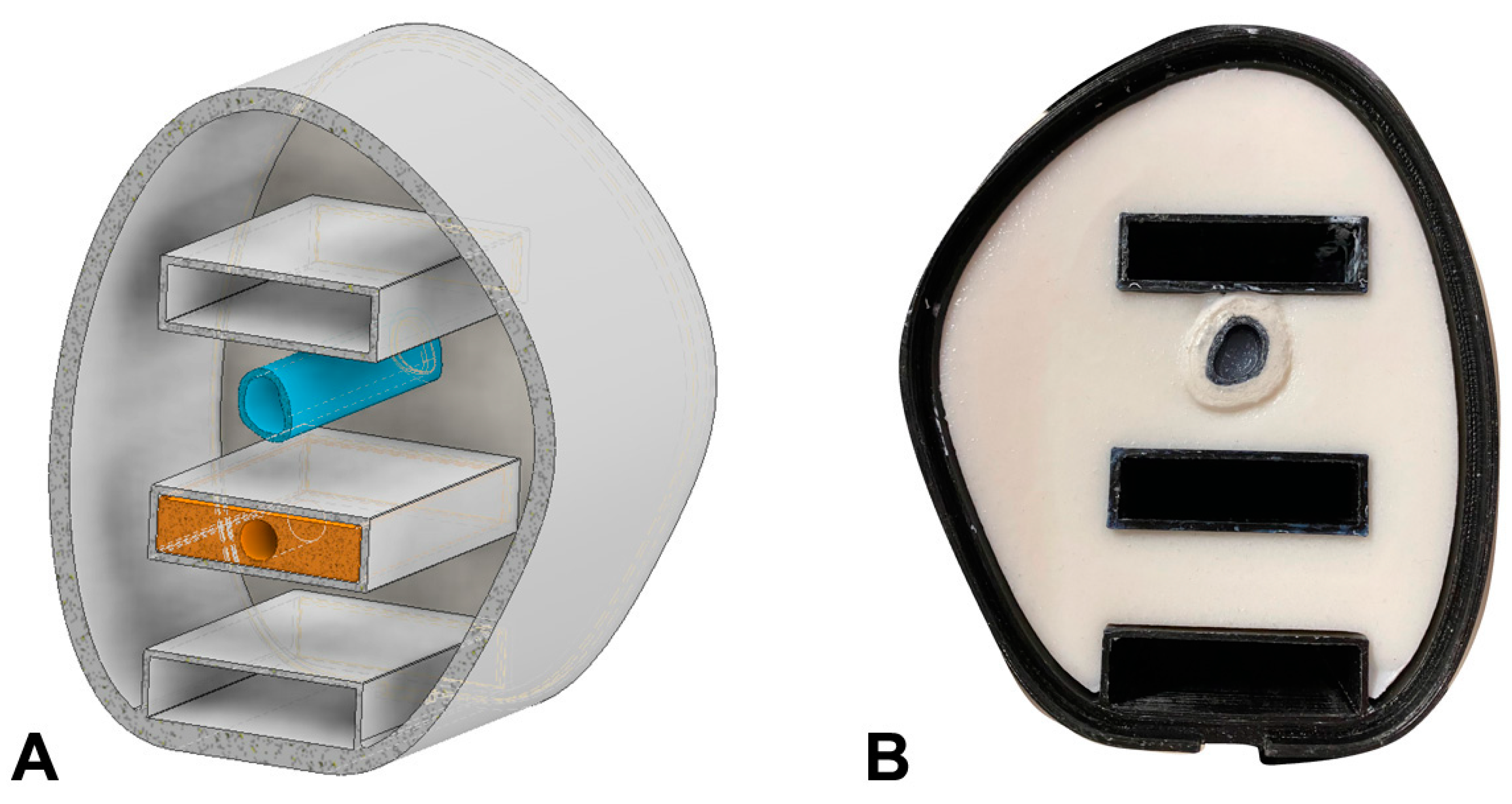 Biomimetics 08 00230 g002