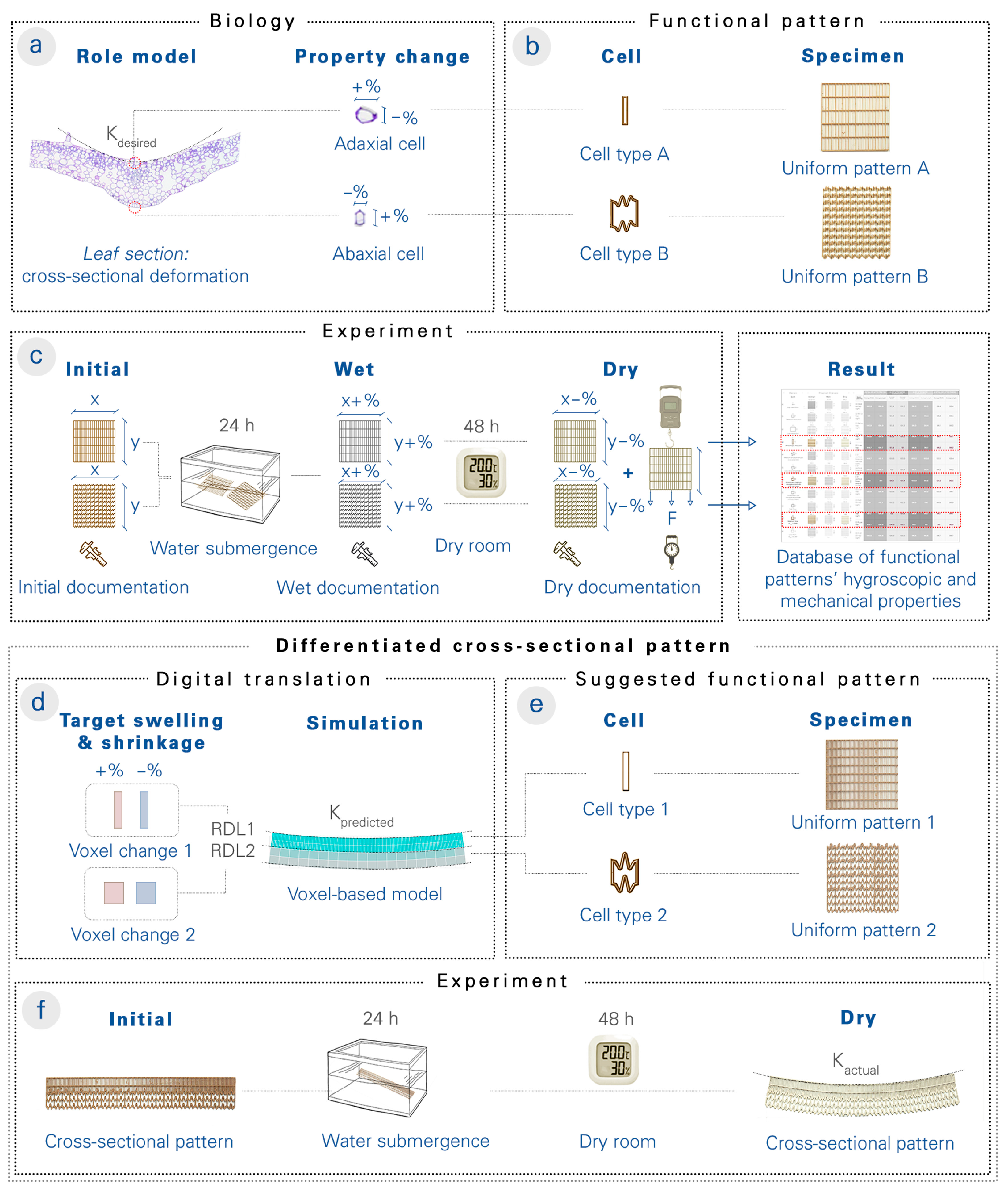 Biomimetics 08 00233 g002