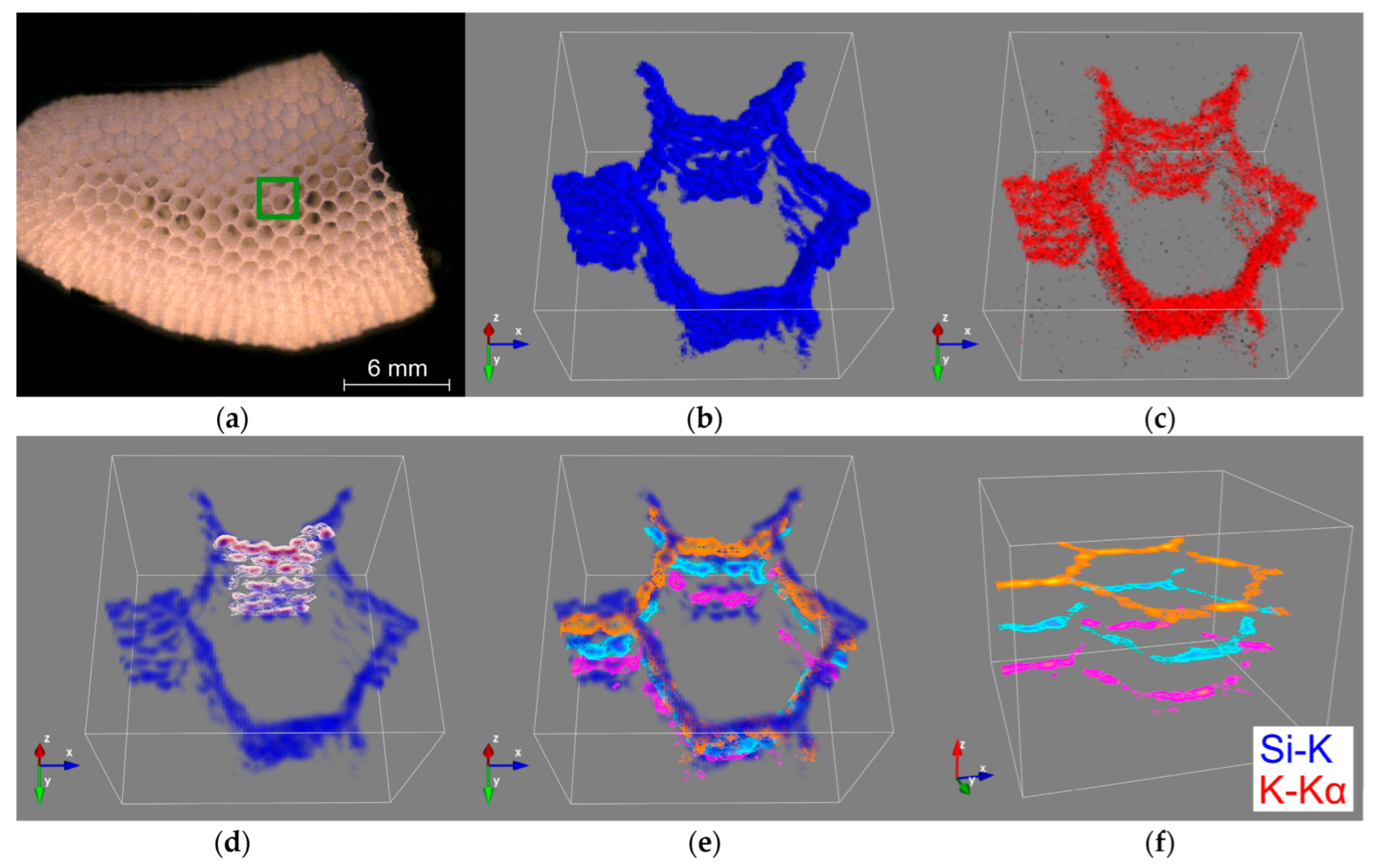 Biomimetics 08 00234 g007 Biomimetics 08 00234 g007