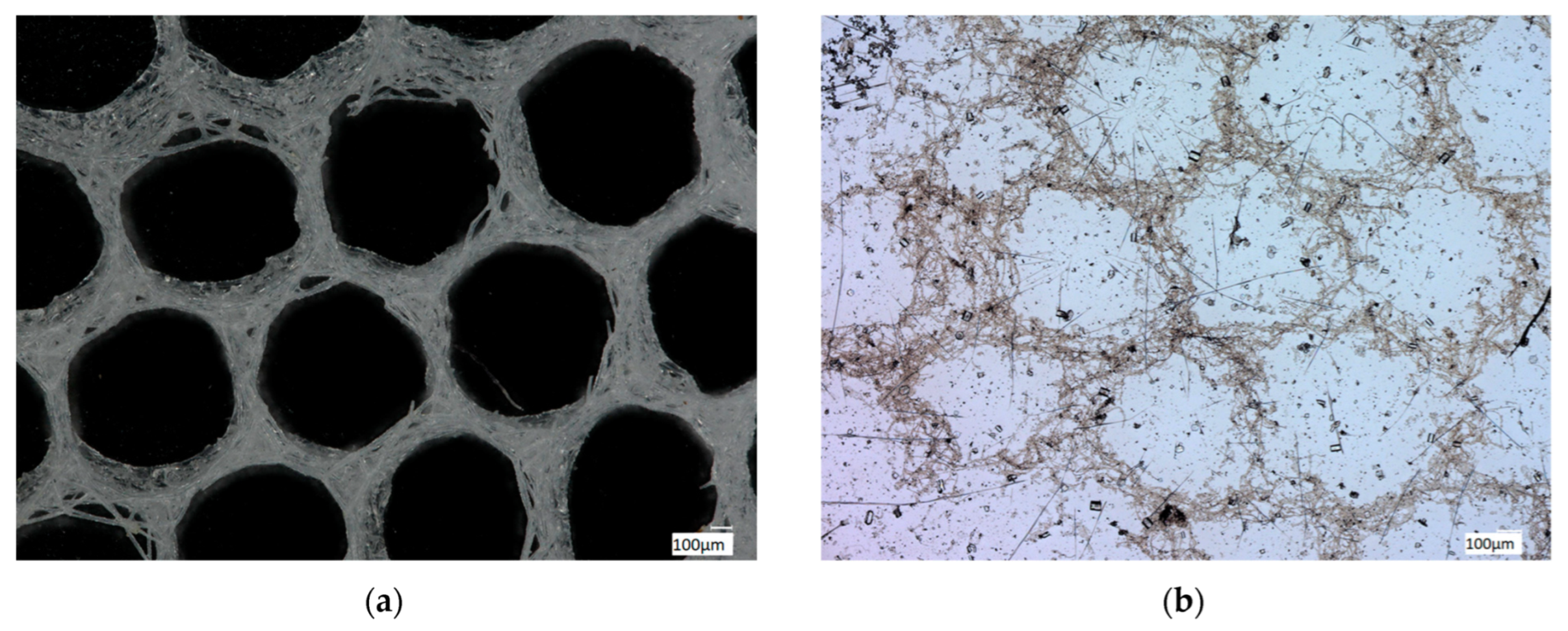 Biomimetics 08 00234 g008 Biomimetics 08 00234 g008