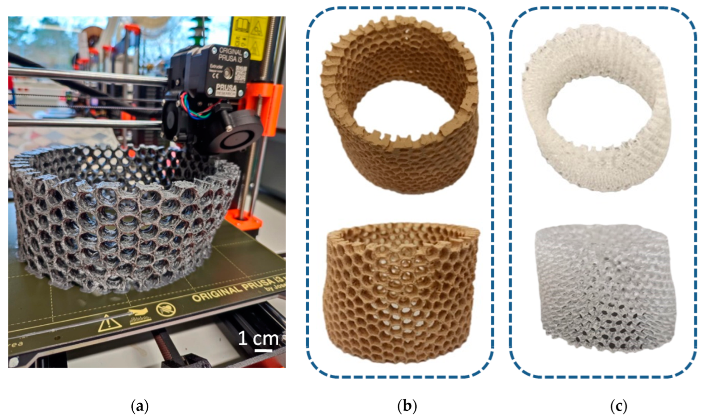 Biomimetics 08 00234 g016 Biomimetics 08 00234 g016