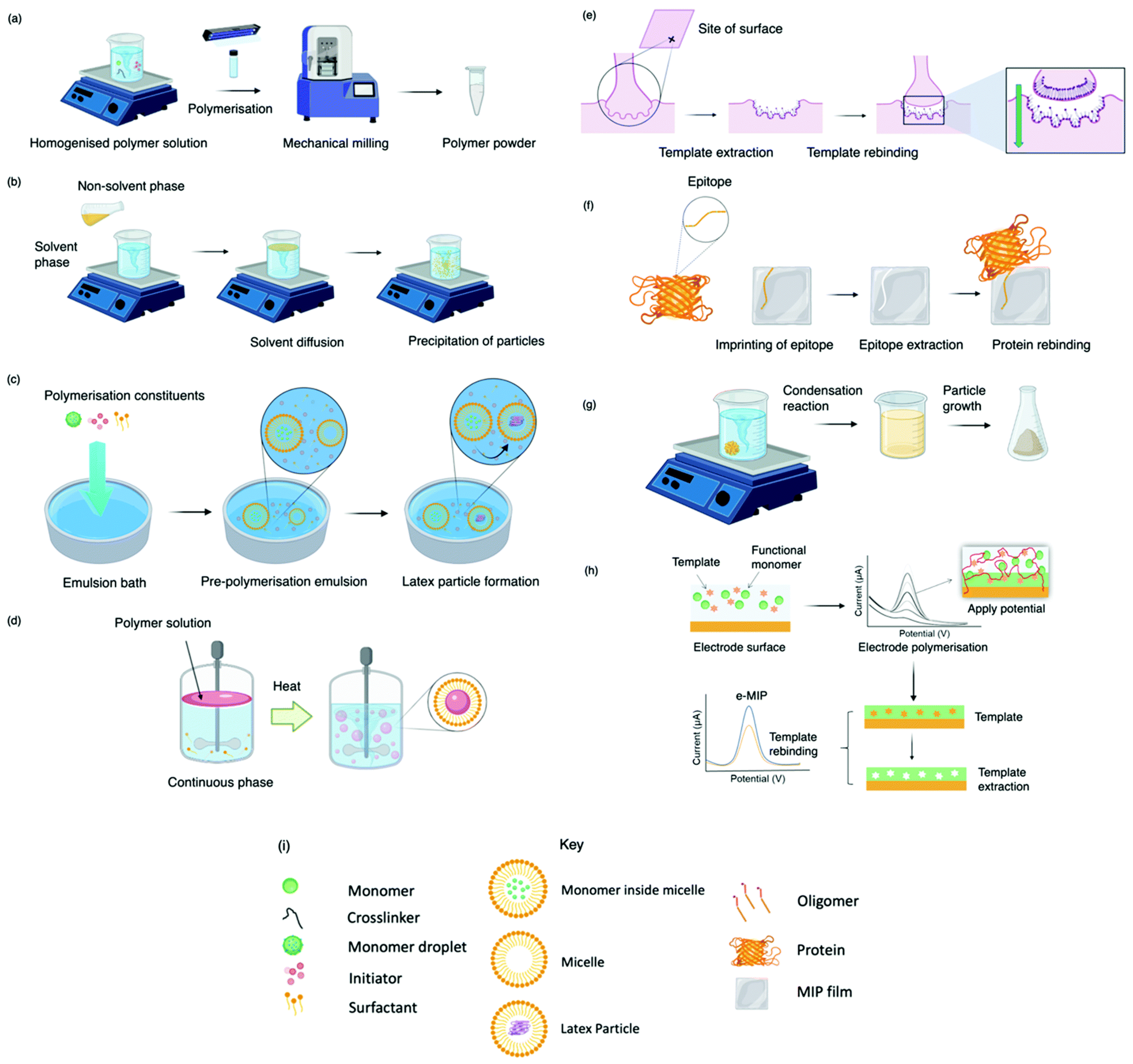 Biomimetics 08 00245 g001 Biomimetics 08 00245 g001