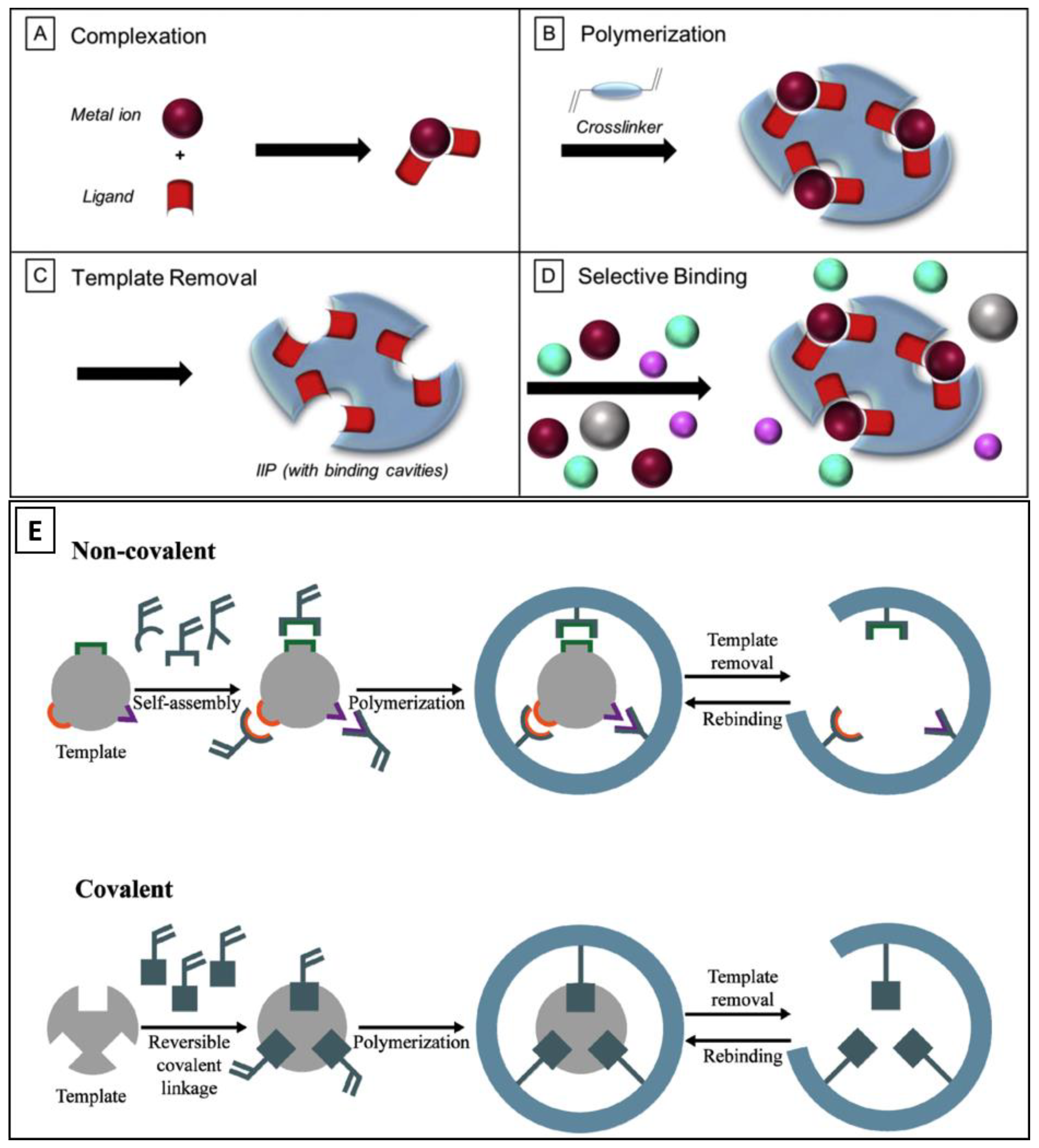 Biomimetics 08 00245 g002 Biomimetics 08 00245 g002
