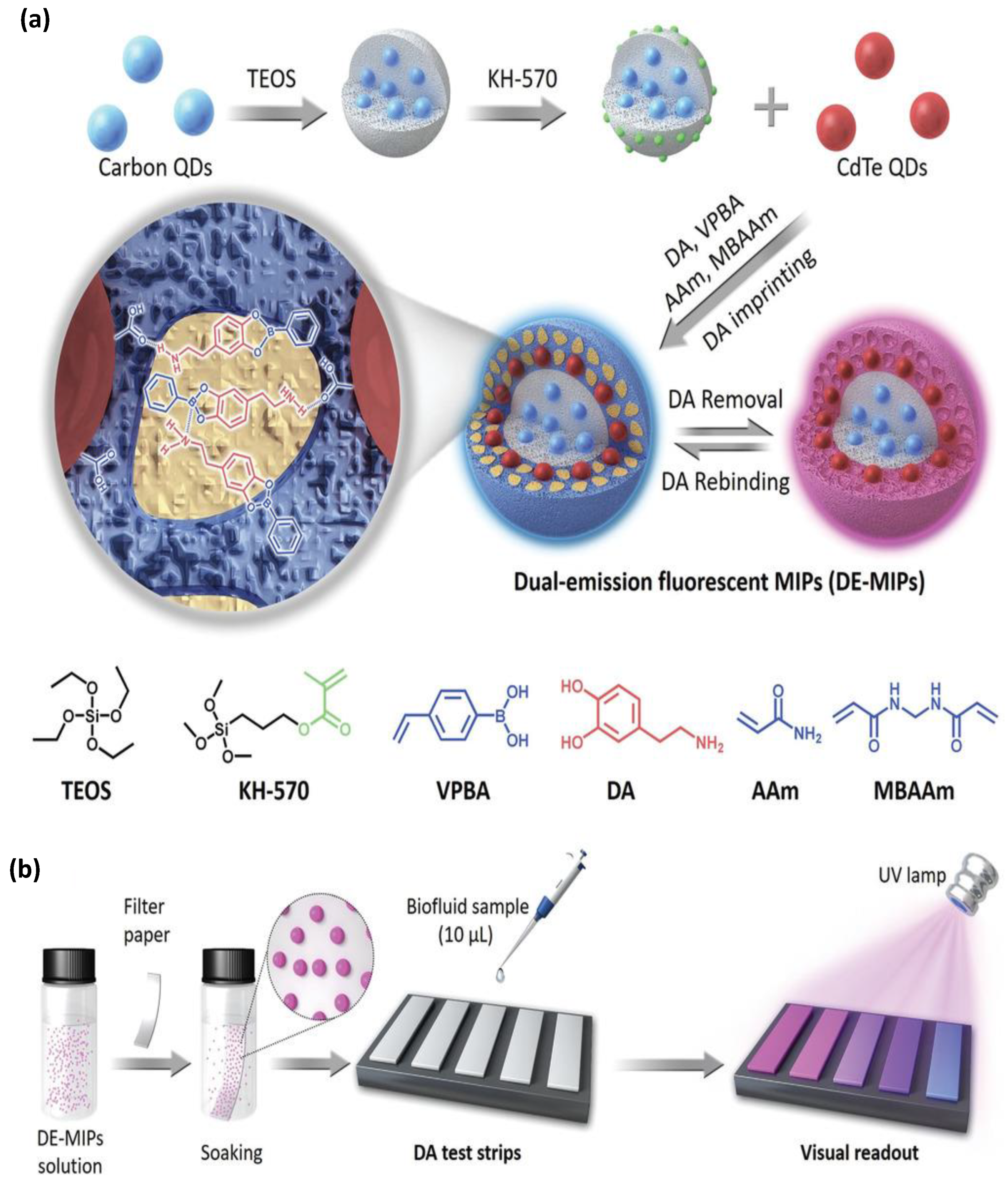 Biomimetics 08 00245 g005 Biomimetics 08 00245 g005