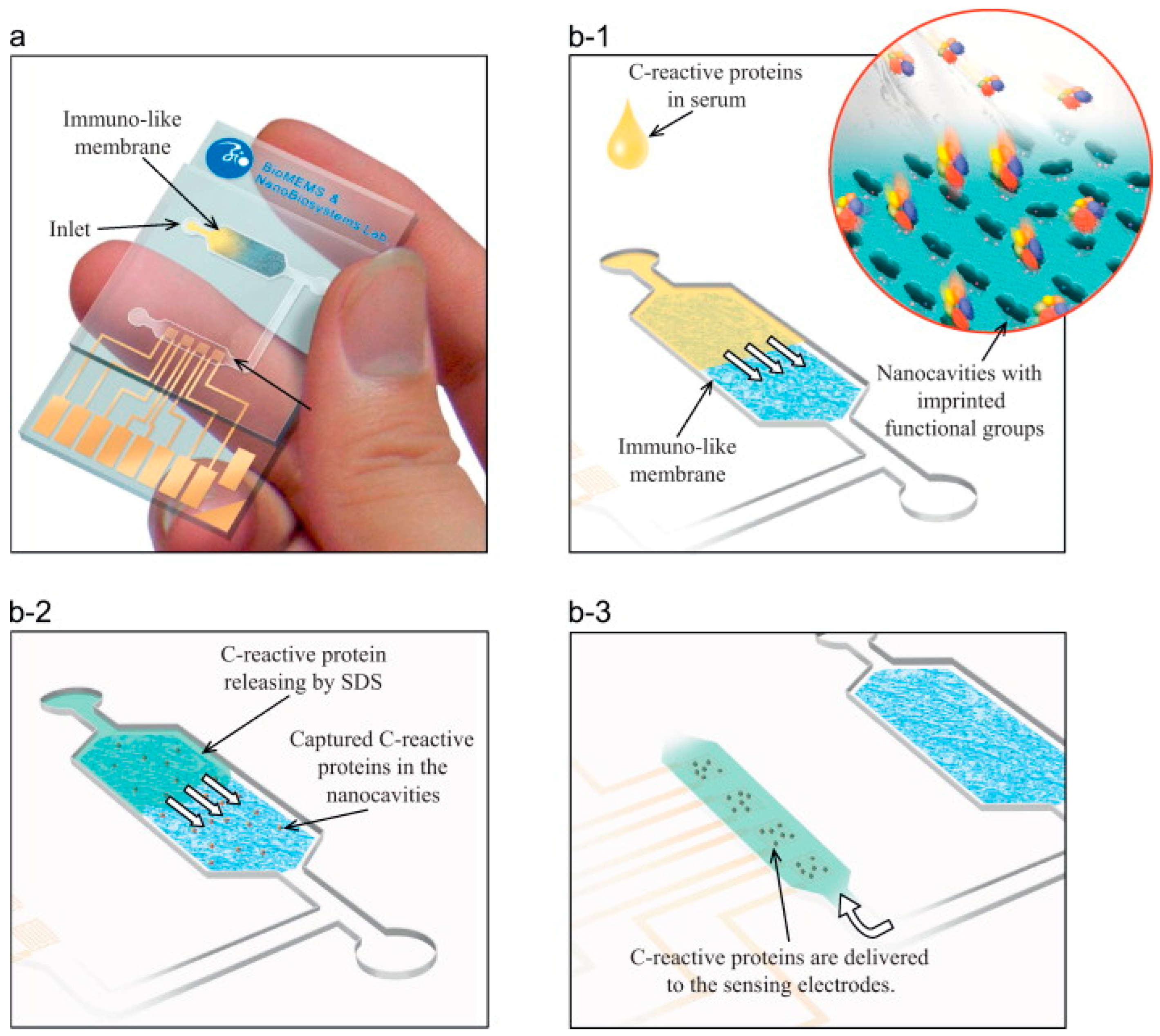 Biomimetics 08 00245 g006 Biomimetics 08 00245 g006