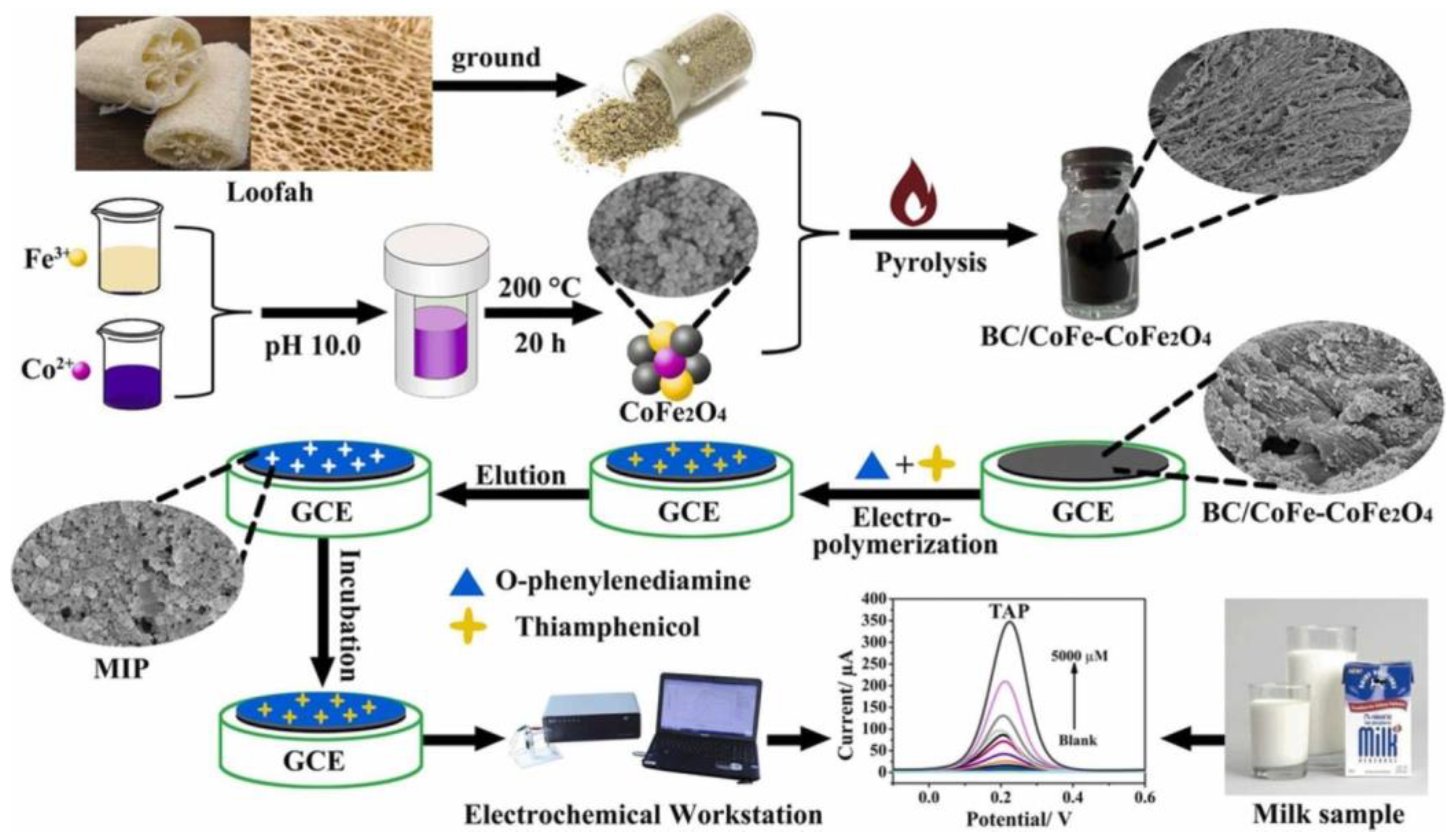 Biomimetics 08 00245 g010 Biomimetics 08 00245 g010