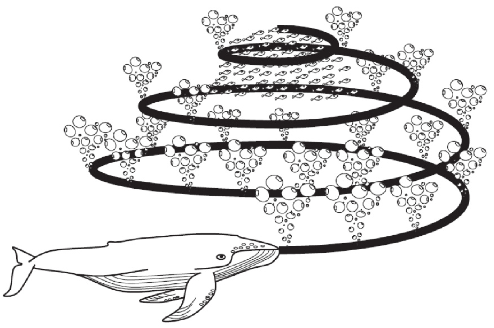 Biomimetics 08 00249 g005