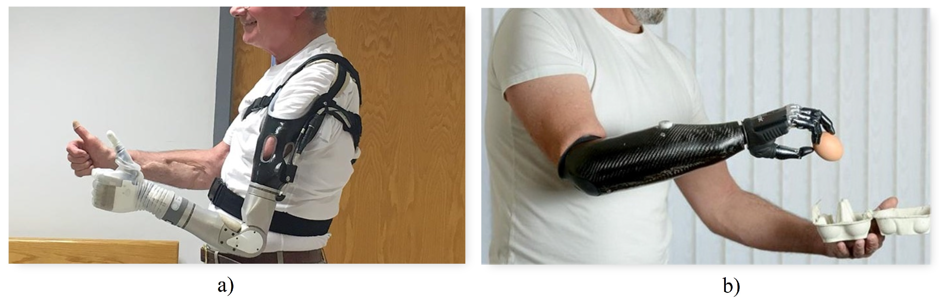 Biomimetics 08 00255 g002