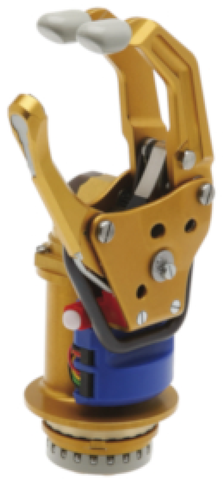 Biomimetics 08 00255 g005