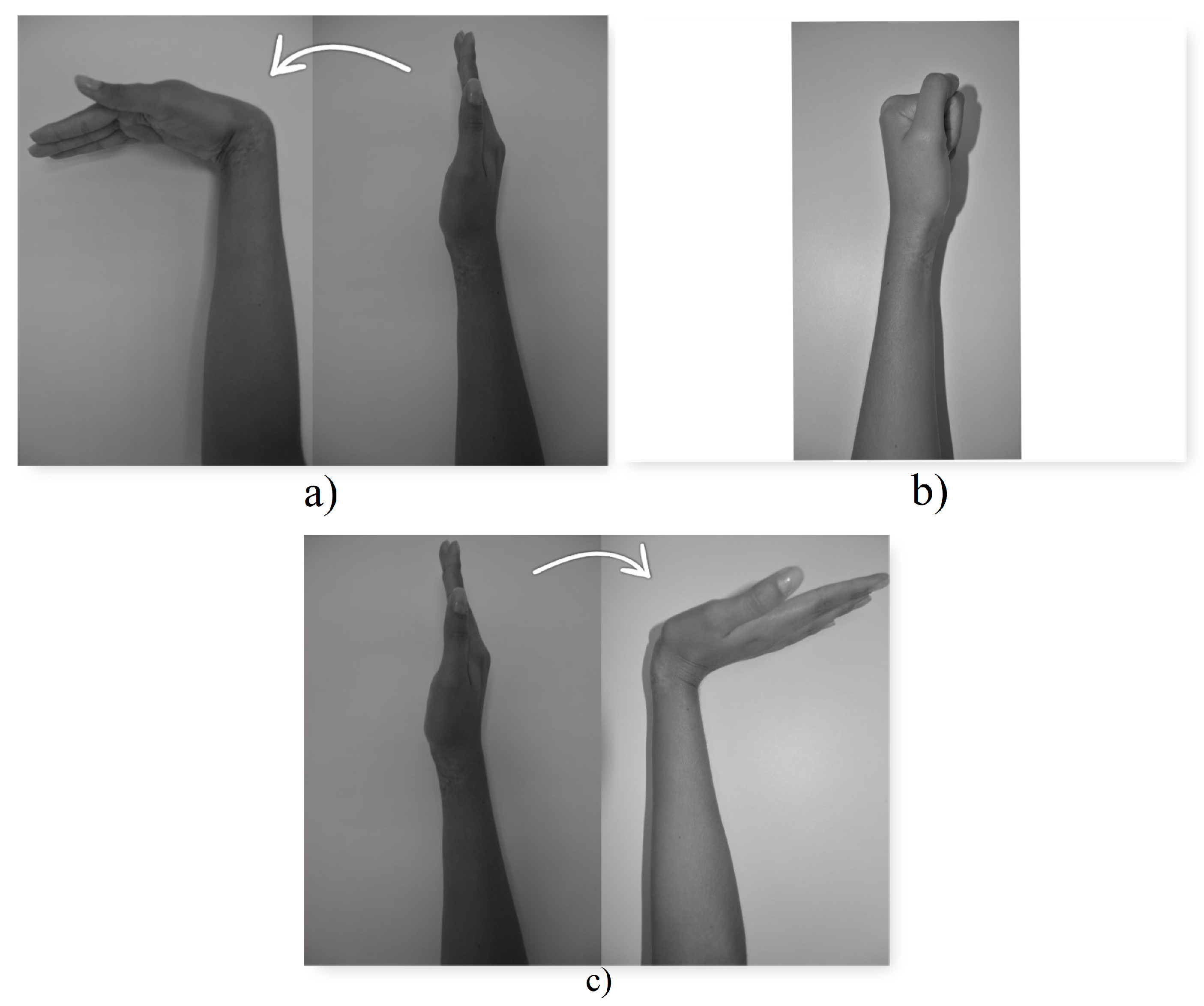Biomimetics 08 00255 g019