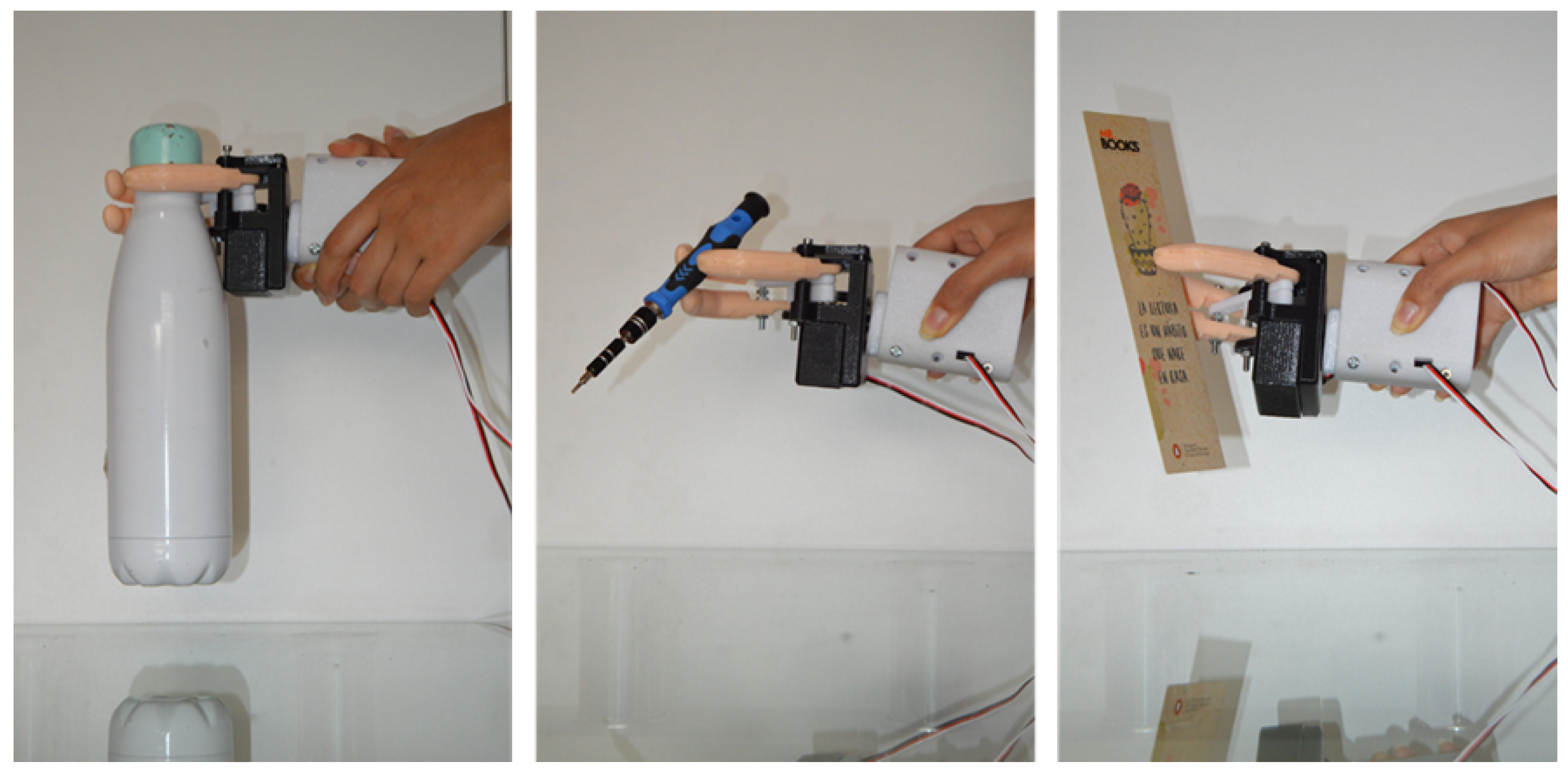 Biomimetics 08 00255 g031