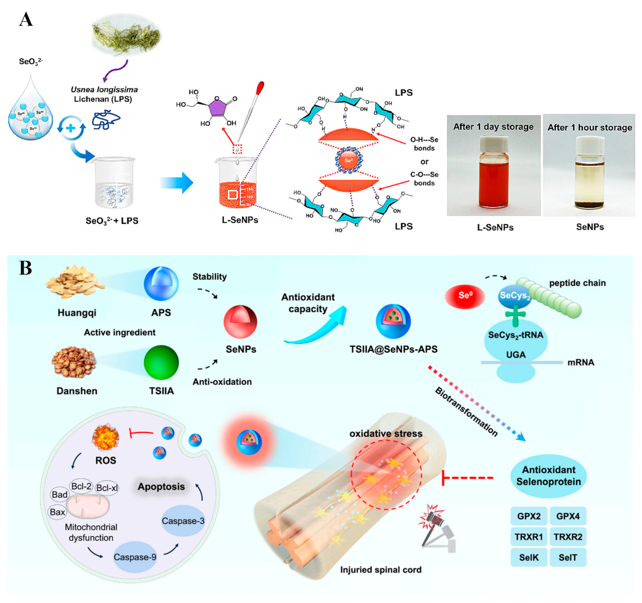 Biomimetics 08 00259 g007 Biomimetics 08 00259 g007