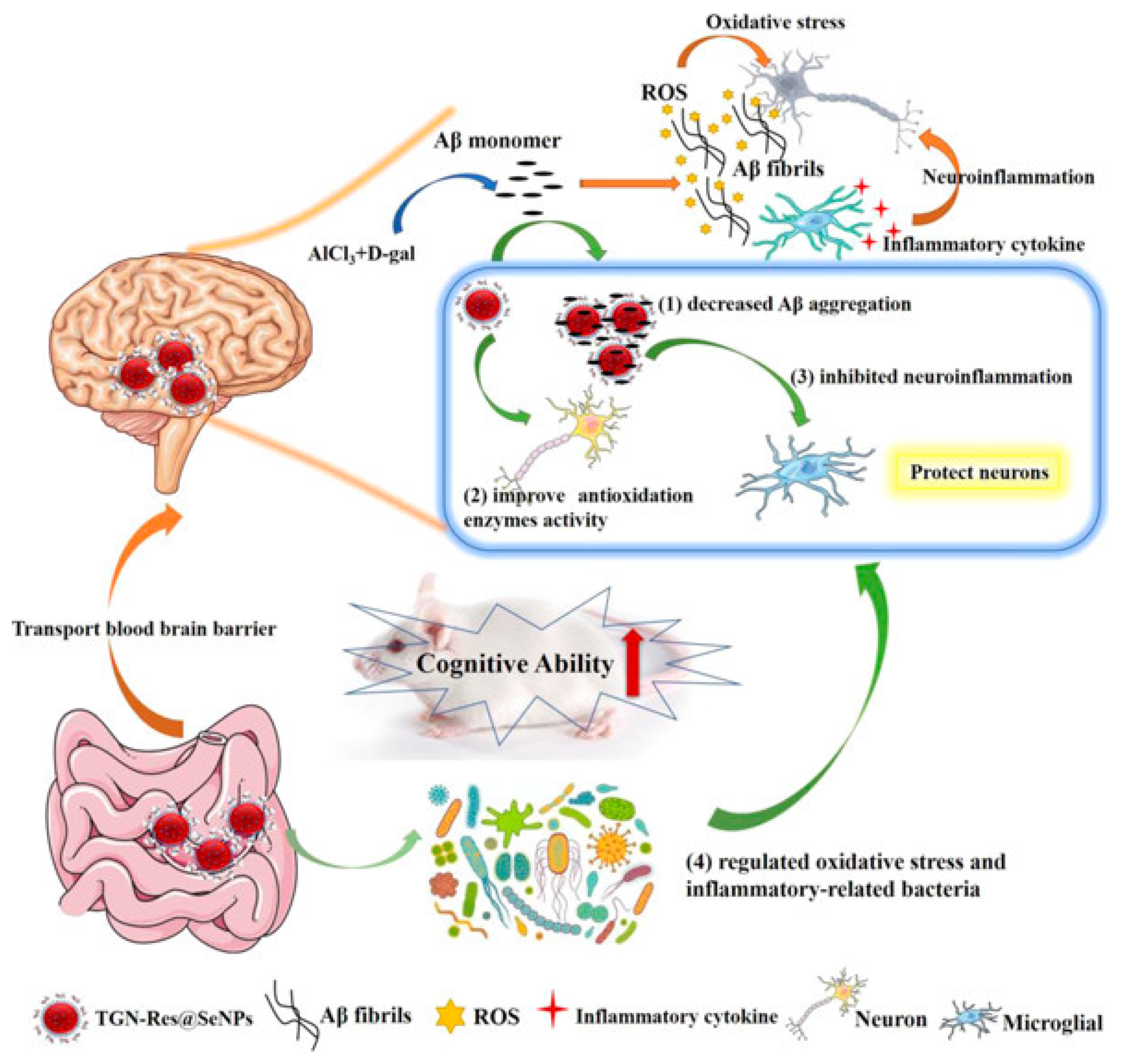 Biomimetics 08 00259 g010 Biomimetics 08 00259 g010