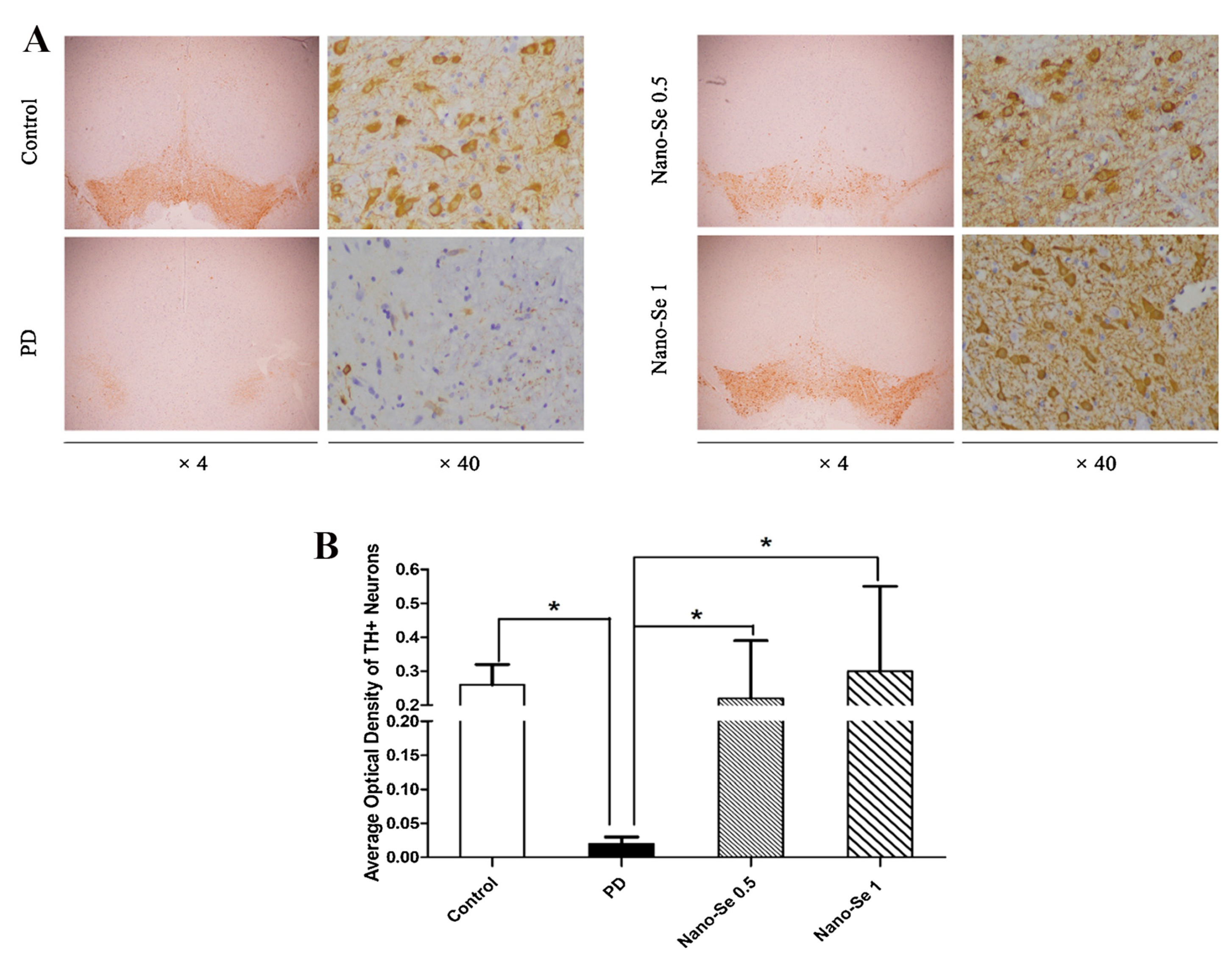 Biomimetics 08 00259 g012 Biomimetics 08 00259 g012