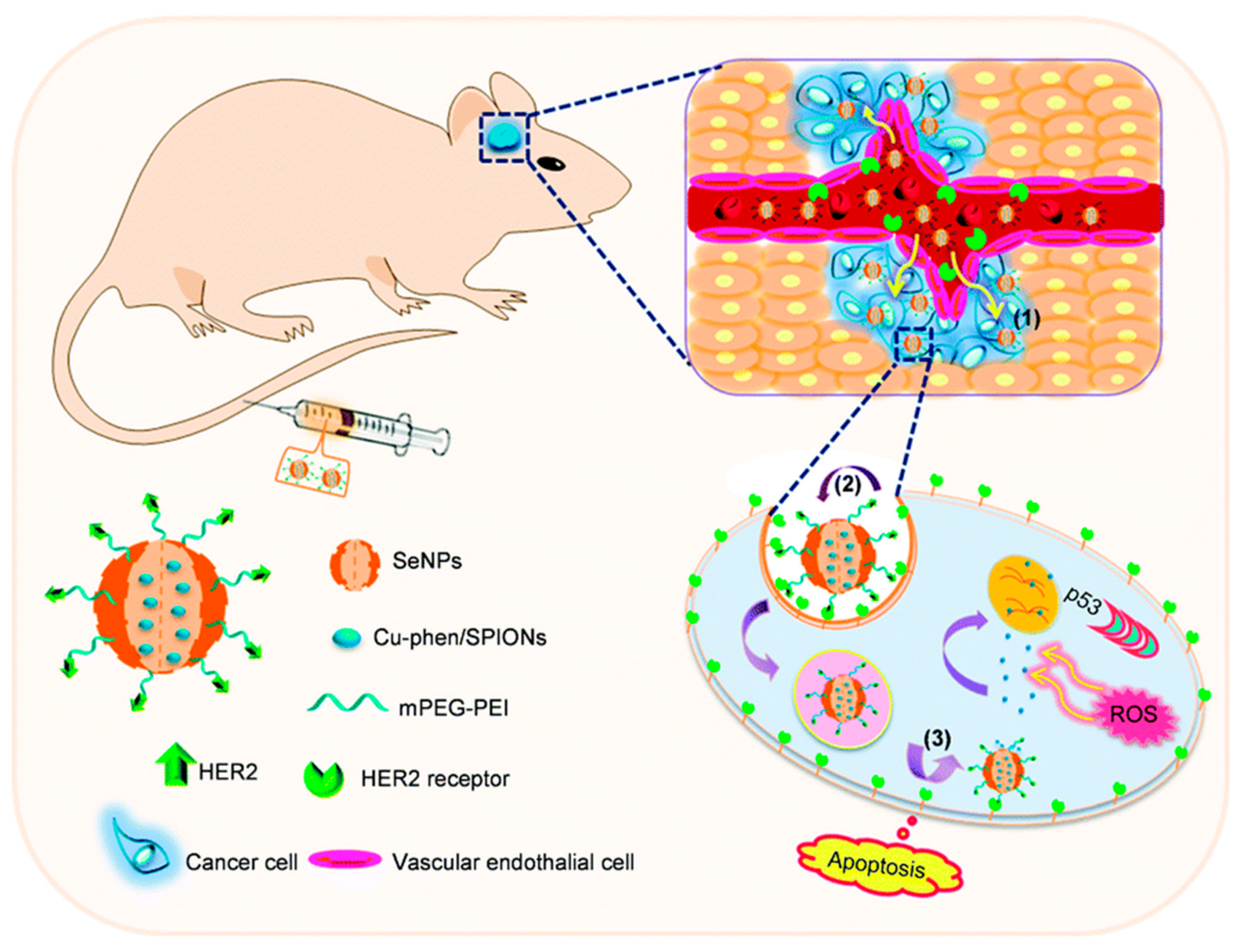 Biomimetics 08 00259 g016 Biomimetics 08 00259 g016