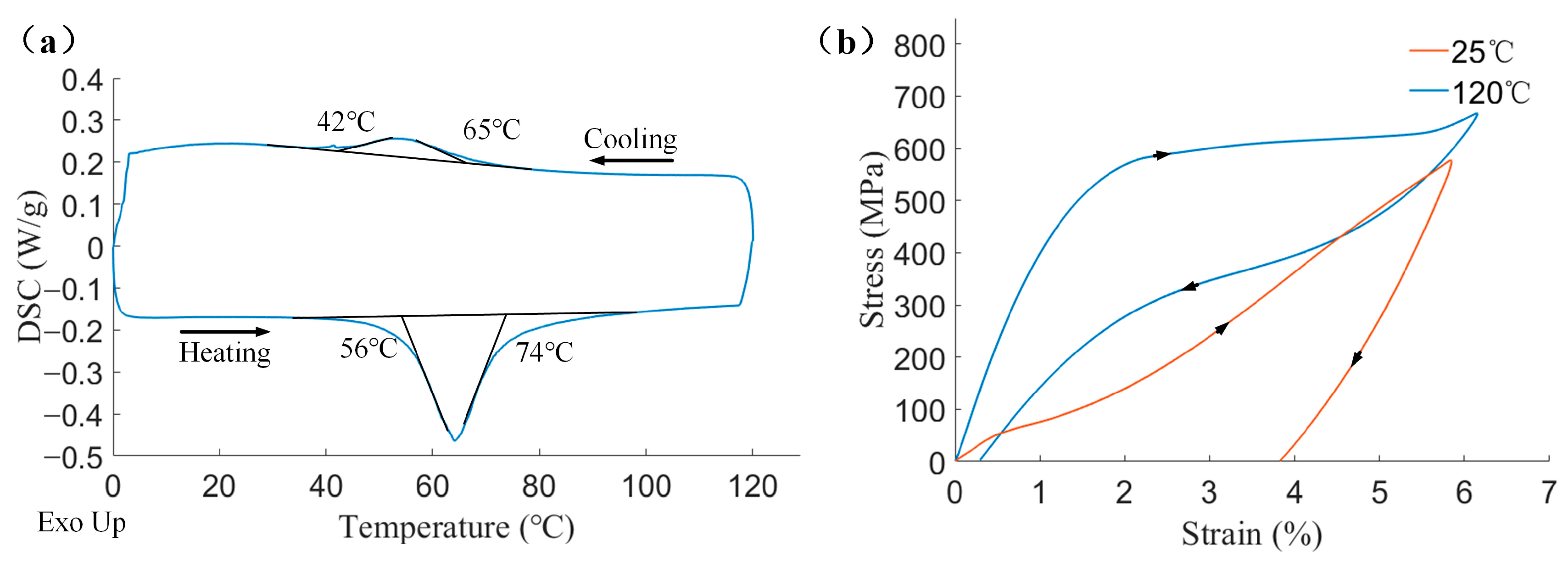 Biomimetics 08 00261 g005 Biomimetics 08 00261 g005