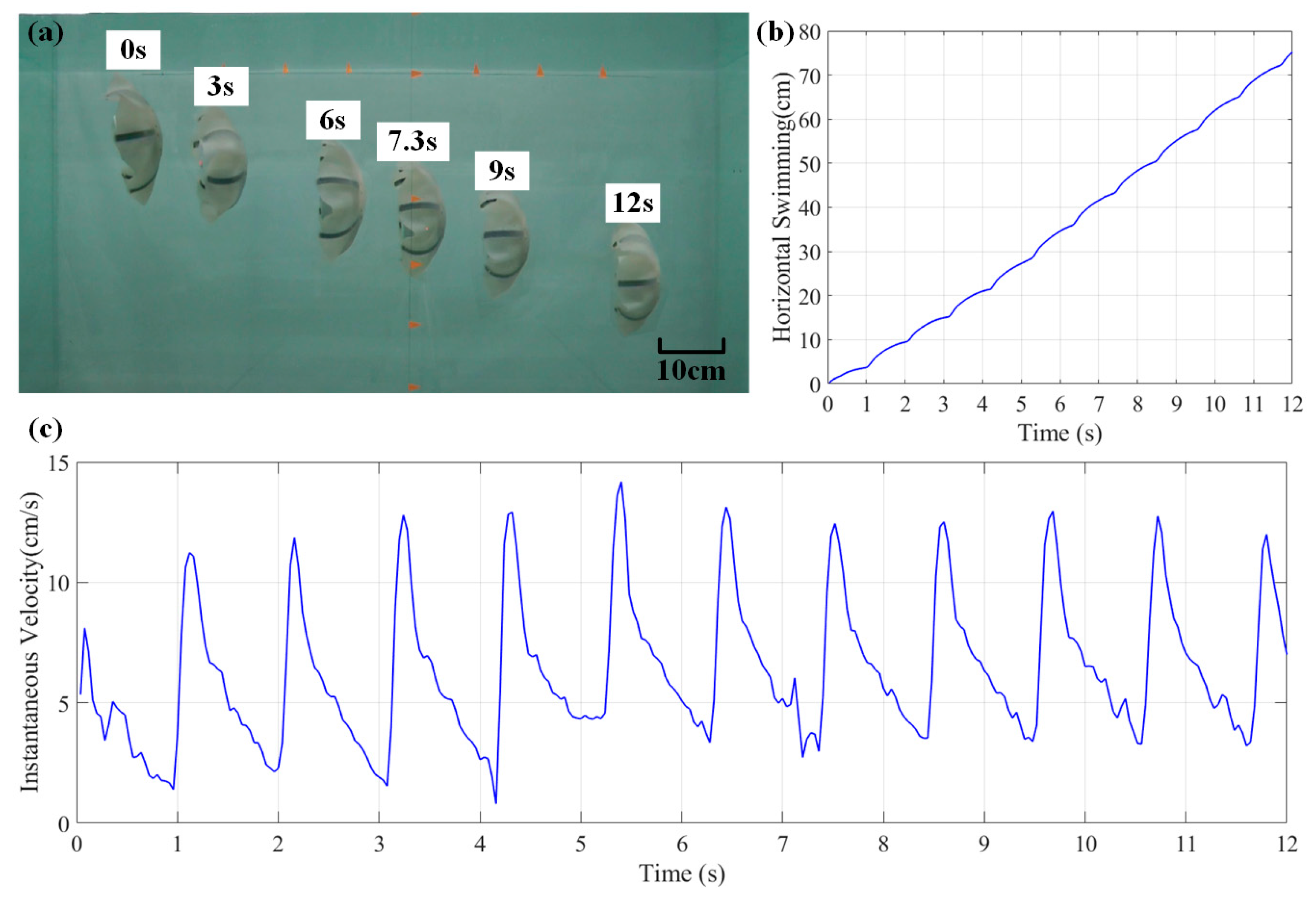 Biomimetics 08 00261 g013 Biomimetics 08 00261 g013