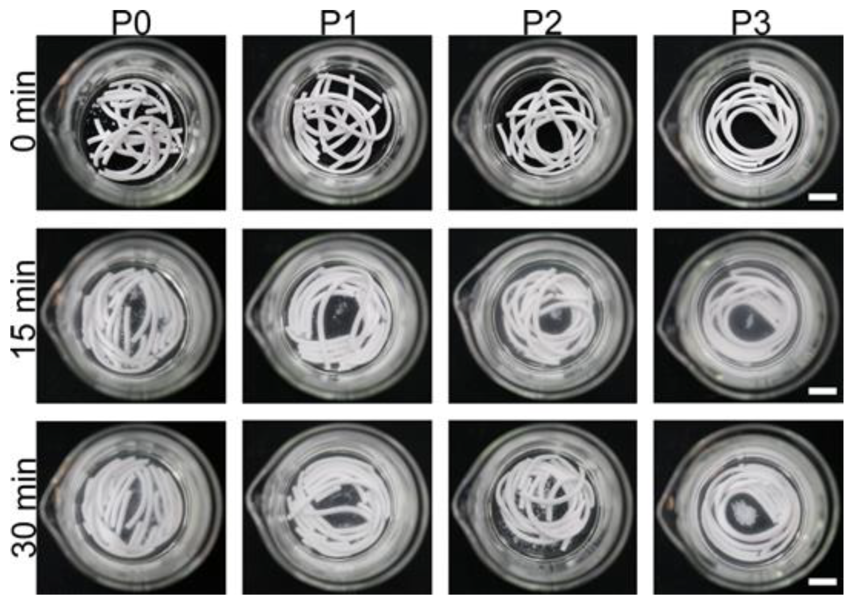 Biomimetics 08 00262 g001 Biomimetics 08 00262 g001