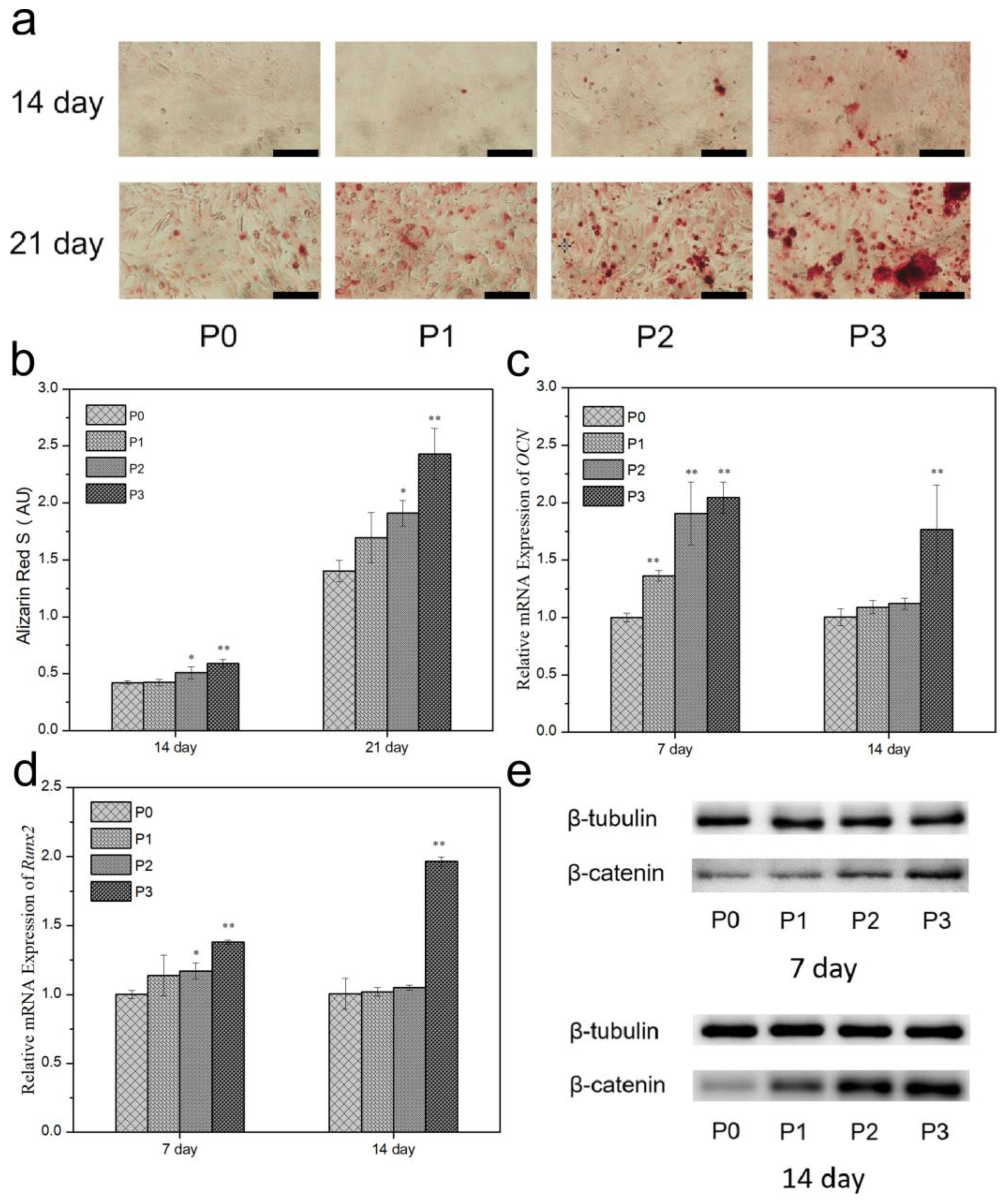 Biomimetics 08 00262 g011 Biomimetics 08 00262 g011