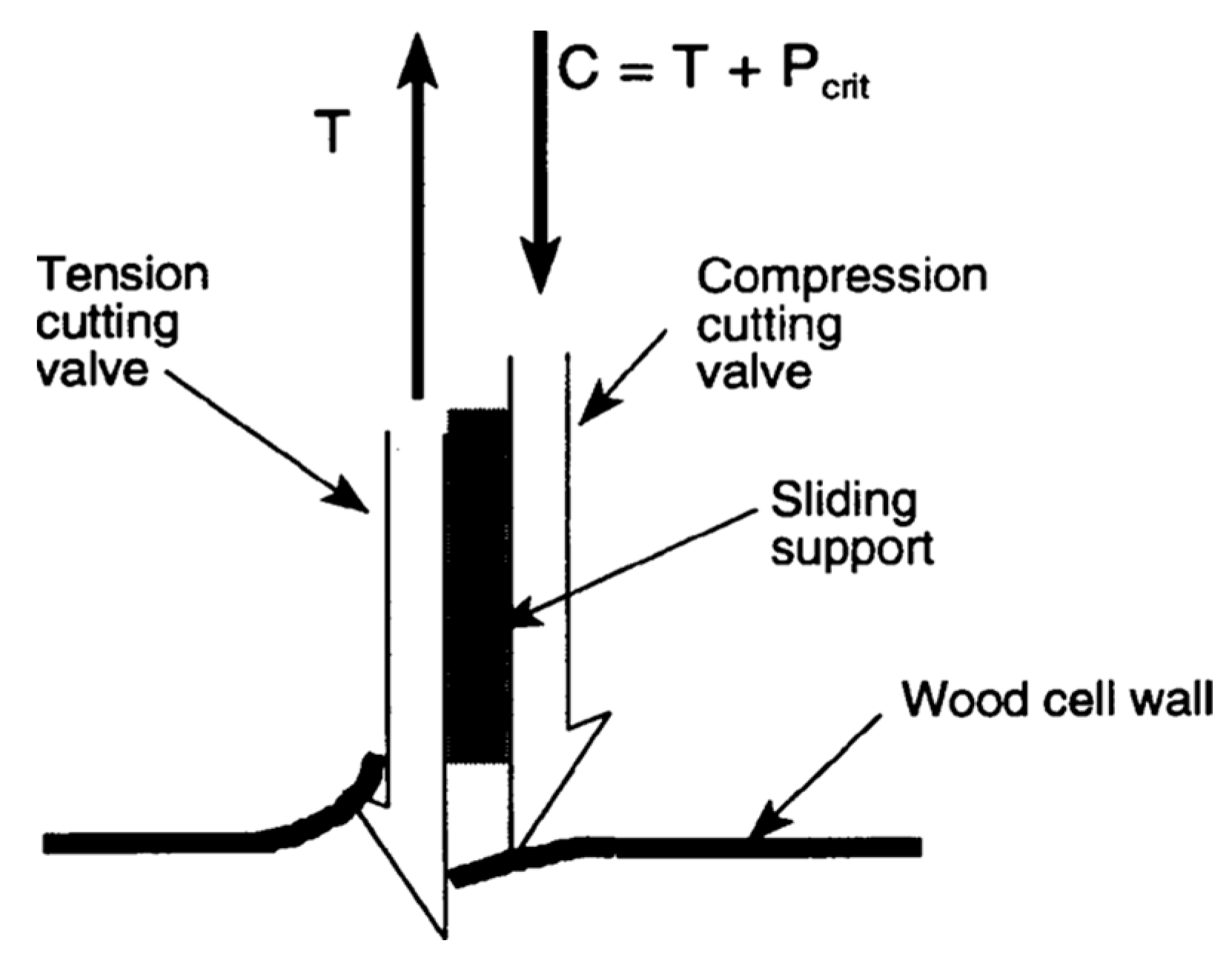 Biomimetics 08 00265 g005