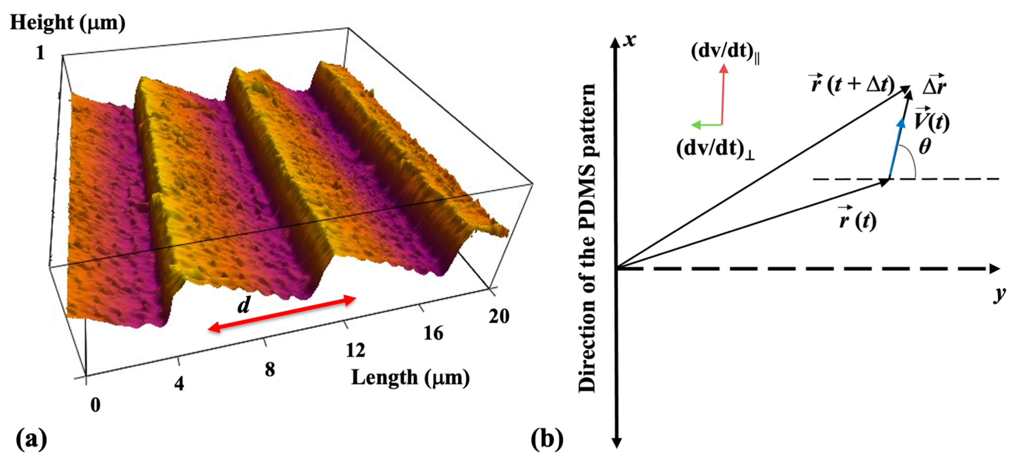 Biomimetics 08 00267 g001