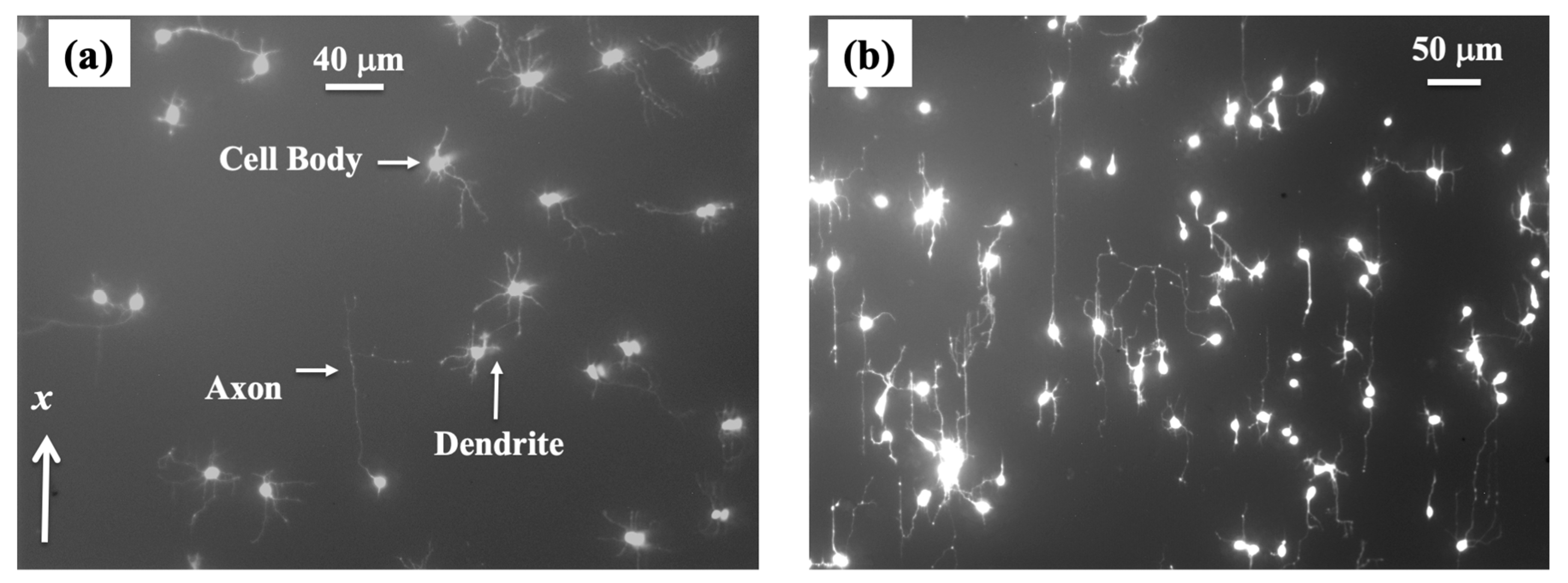 Biomimetics 08 00267 g002