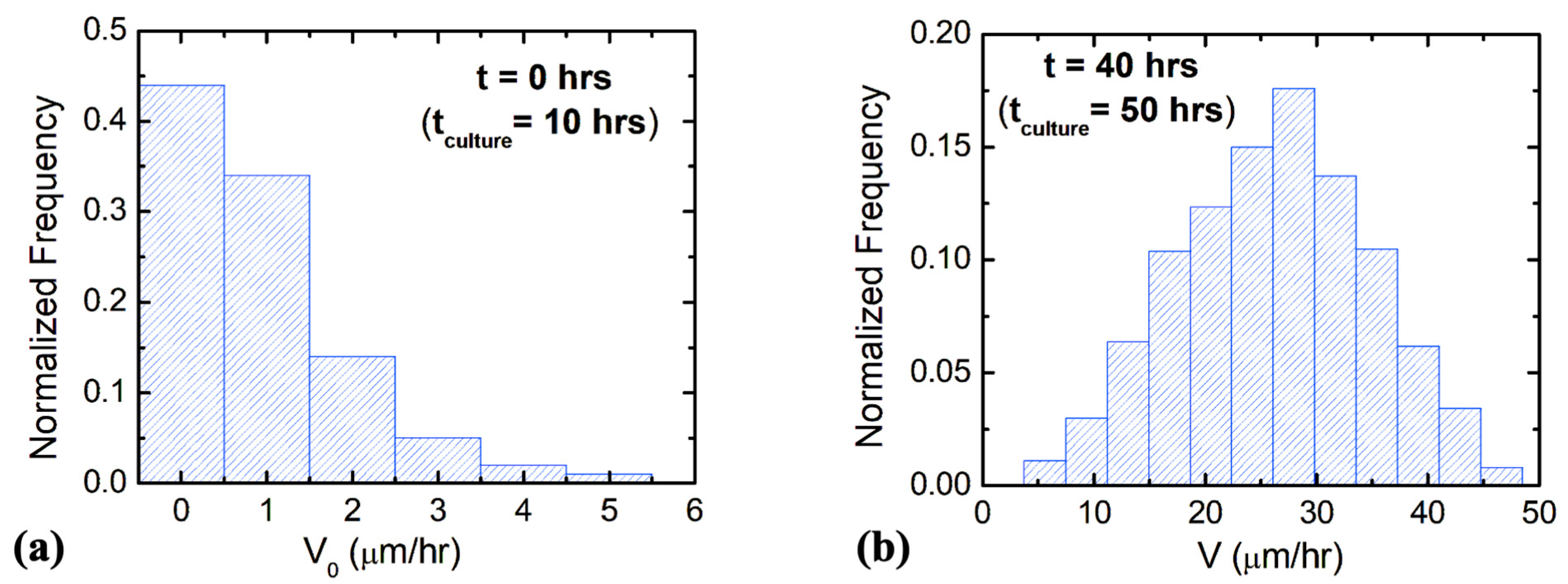 Biomimetics 08 00267 g003