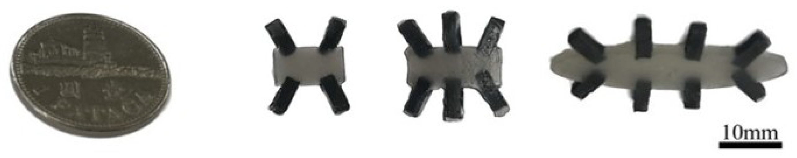 Biomimetics 08 00269 g002