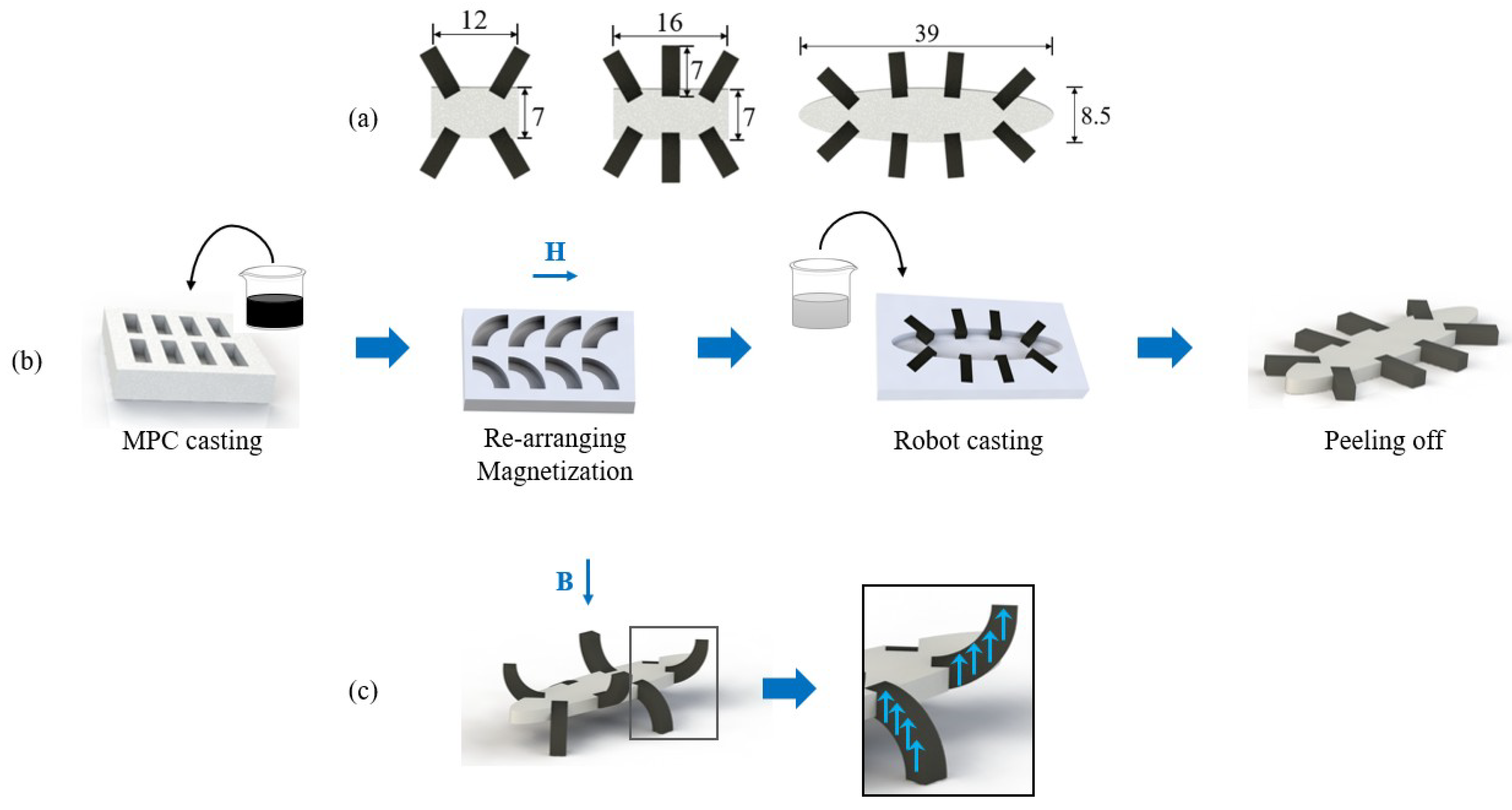 Biomimetics 08 00269 g003