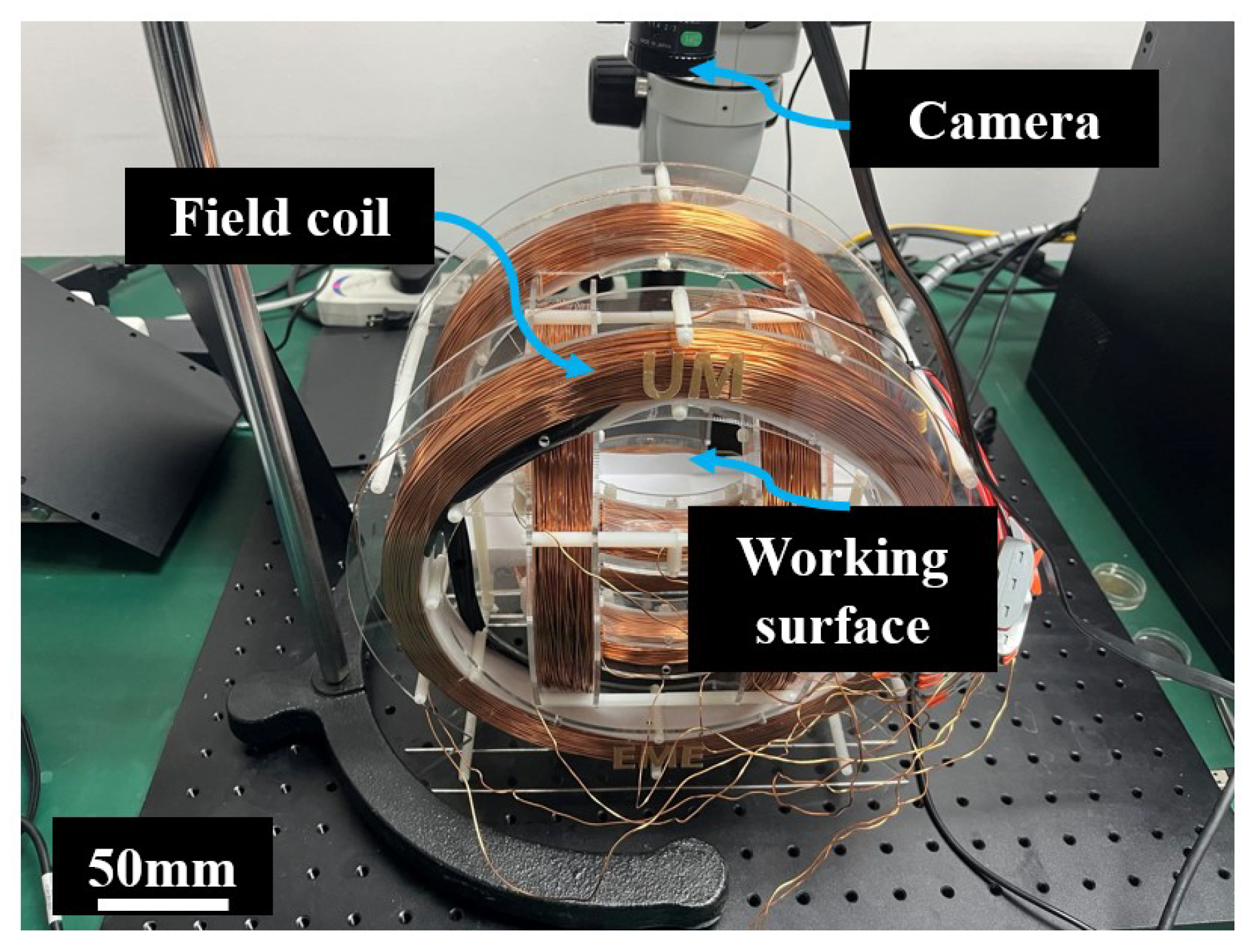 Biomimetics 08 00269 g004